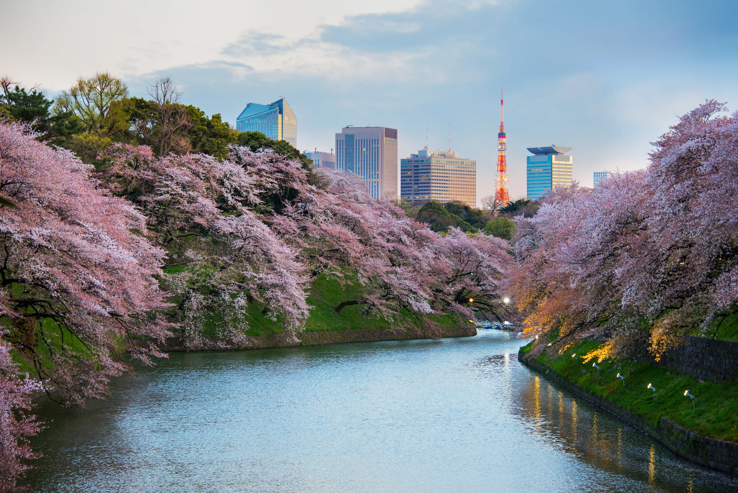 Tokyo, Japan - Tokyo Music Competition
