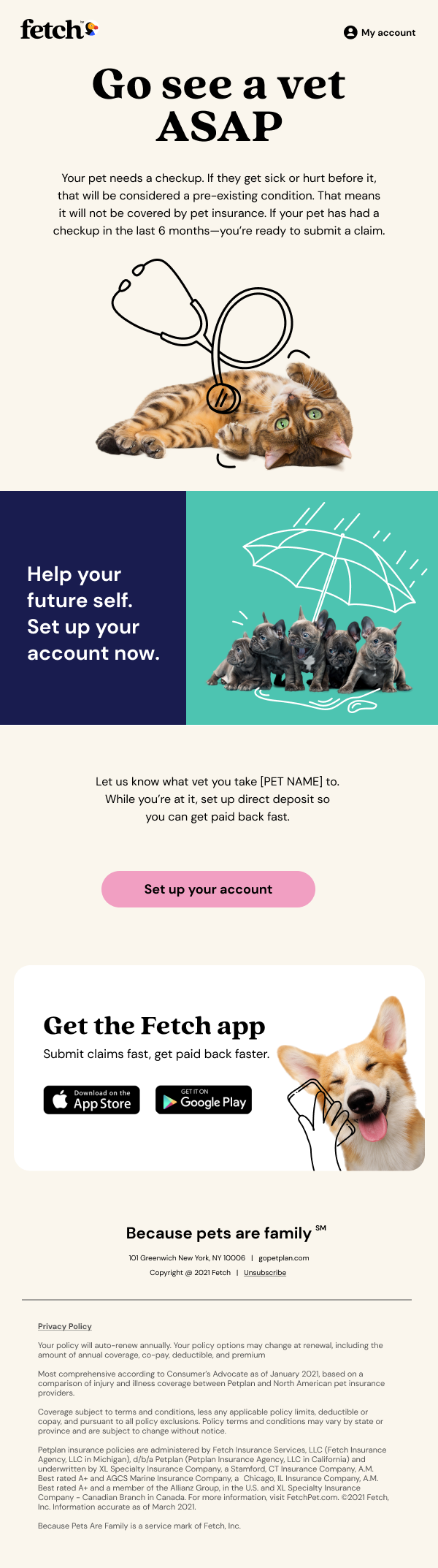 [EMAIL001] Fetch Welcome Series_Day 21_R6.png