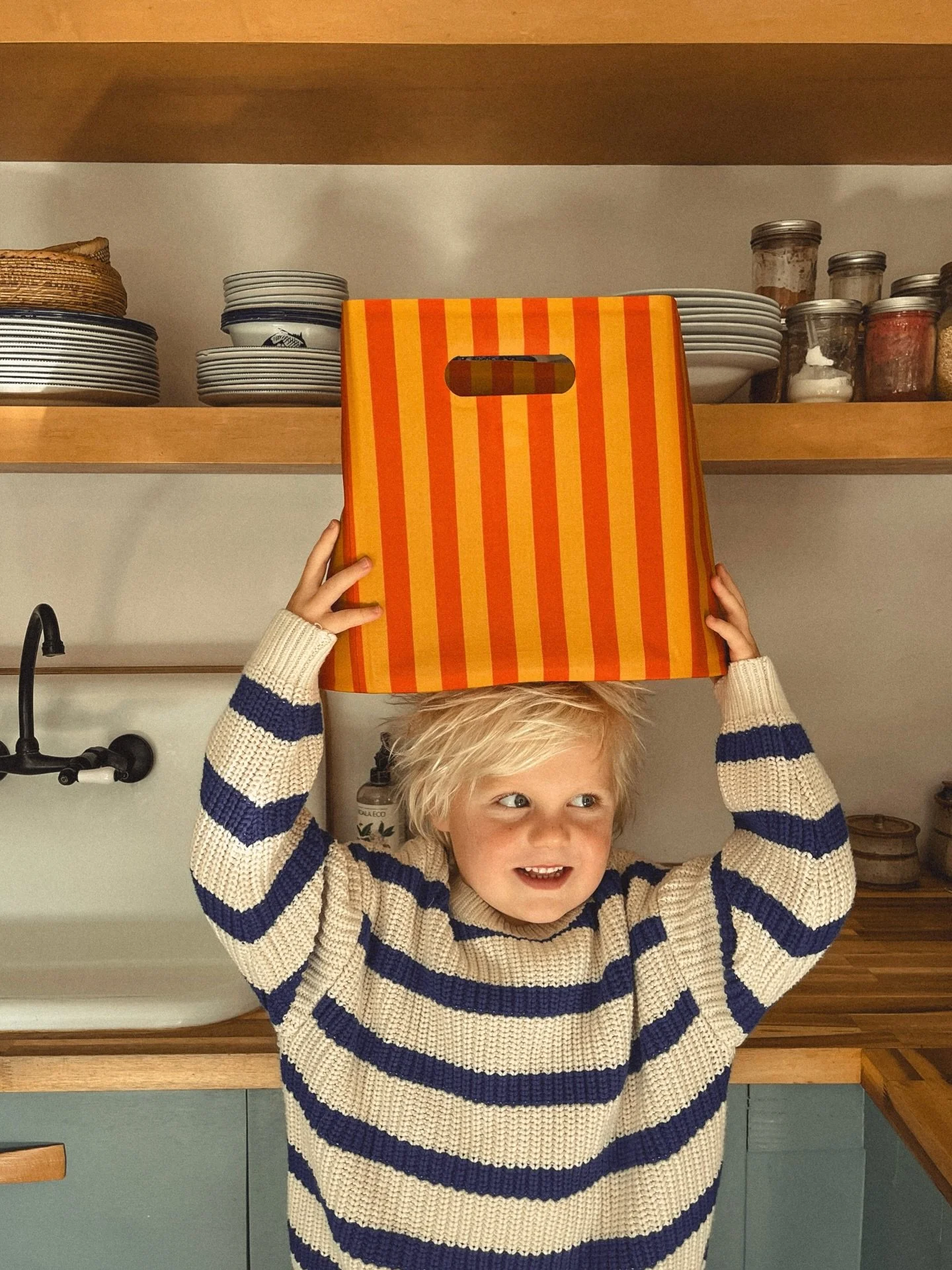 BOLD STRIPES
because you only live once.

Meet The Basket&mdash; the removable,seam-sealed insert every mom needs. It&rsquo;s leak proof, stink-proof and wipes clean in seconds. And that pop of picnic stripe just begs for little hands to dig in ;)

P