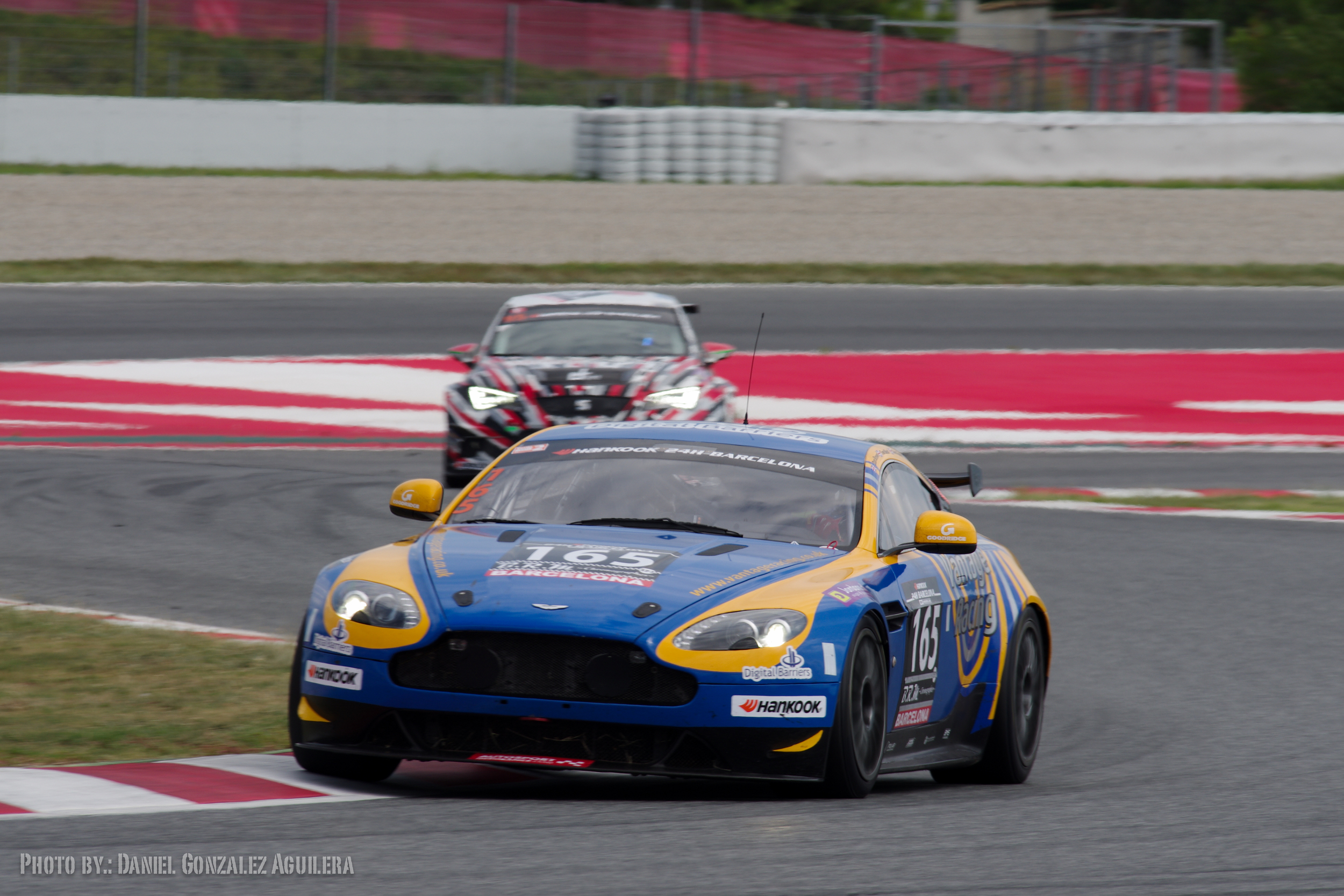 IMGP3928.jpg