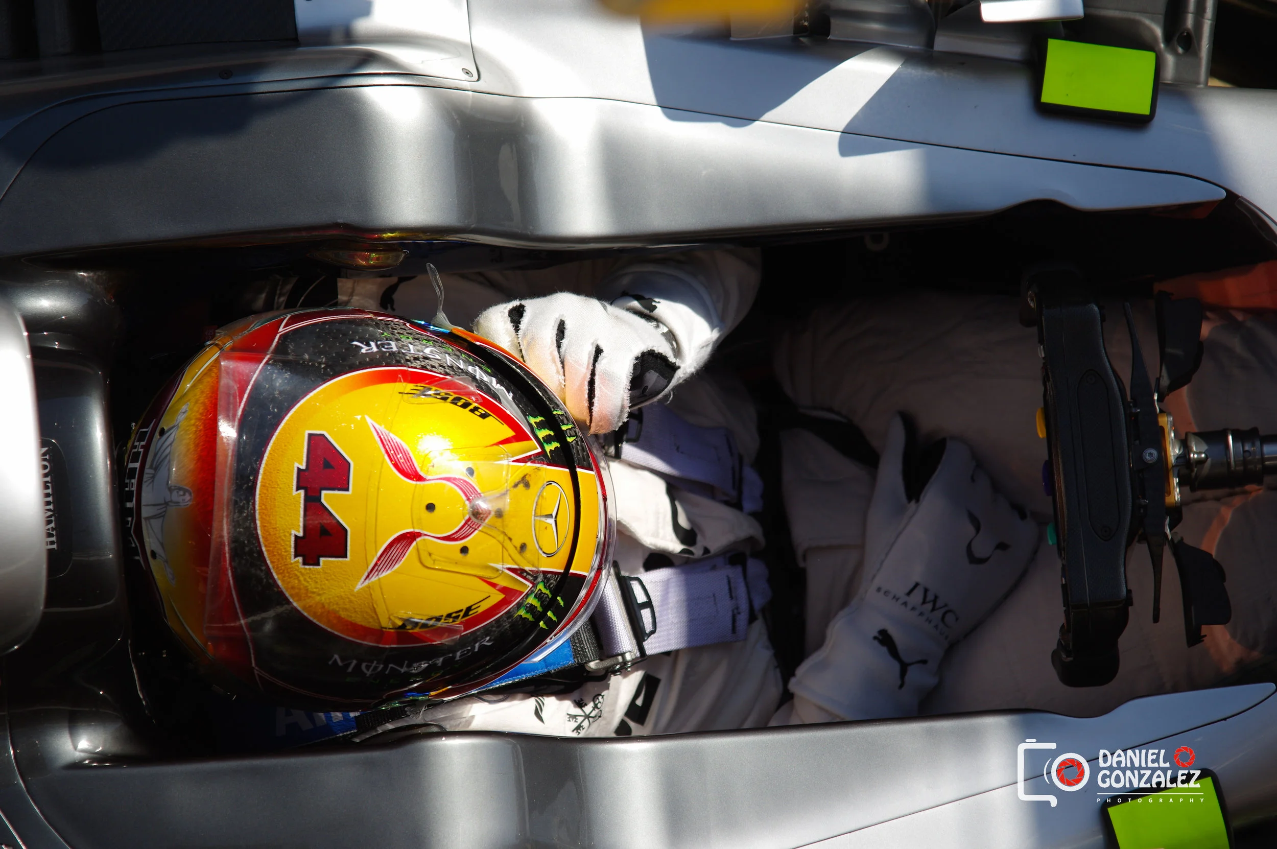 f1.jpg