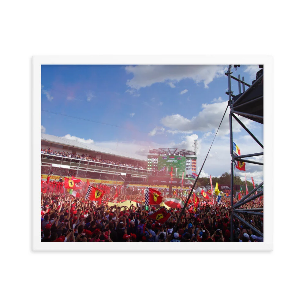 enhanced-matte-paper-framed-poster-(in)-white-16x20-transparent-61099bde4fec6.jpg