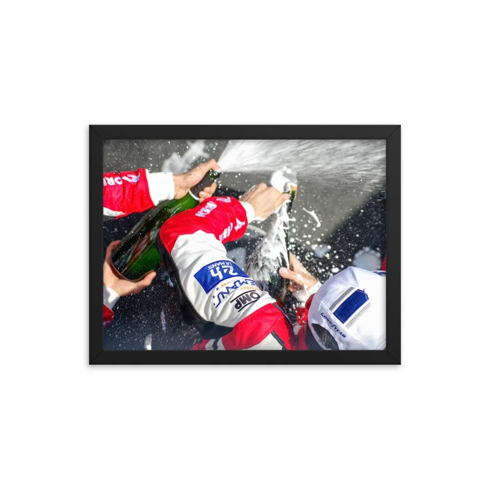 enhanced-matte-paper-framed-poster-(in)-black-12x16-transparent-621e270b7984b.jpg