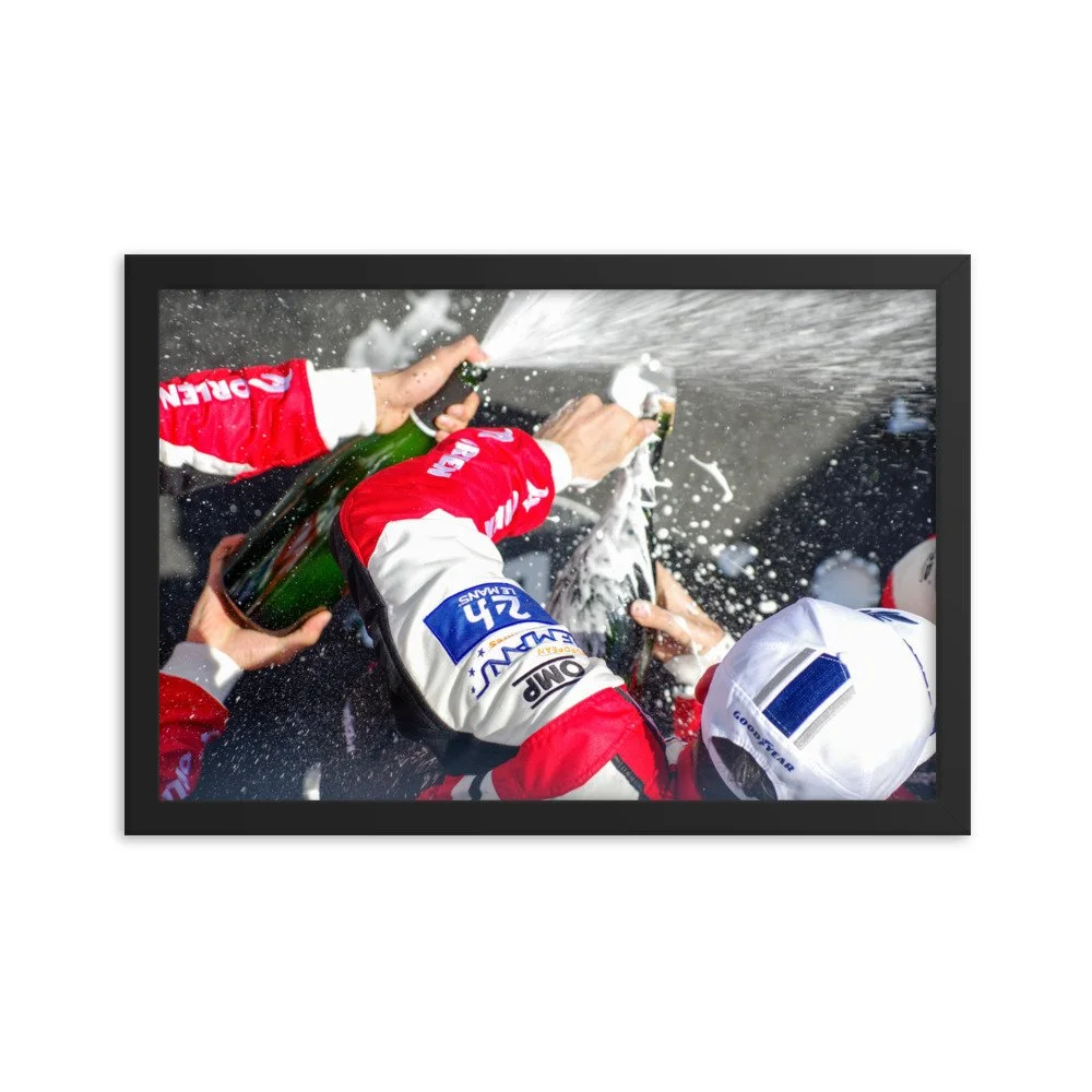 enhanced-matte-paper-framed-poster-(in)-black-12x18-transparent-621e270b79917.jpg