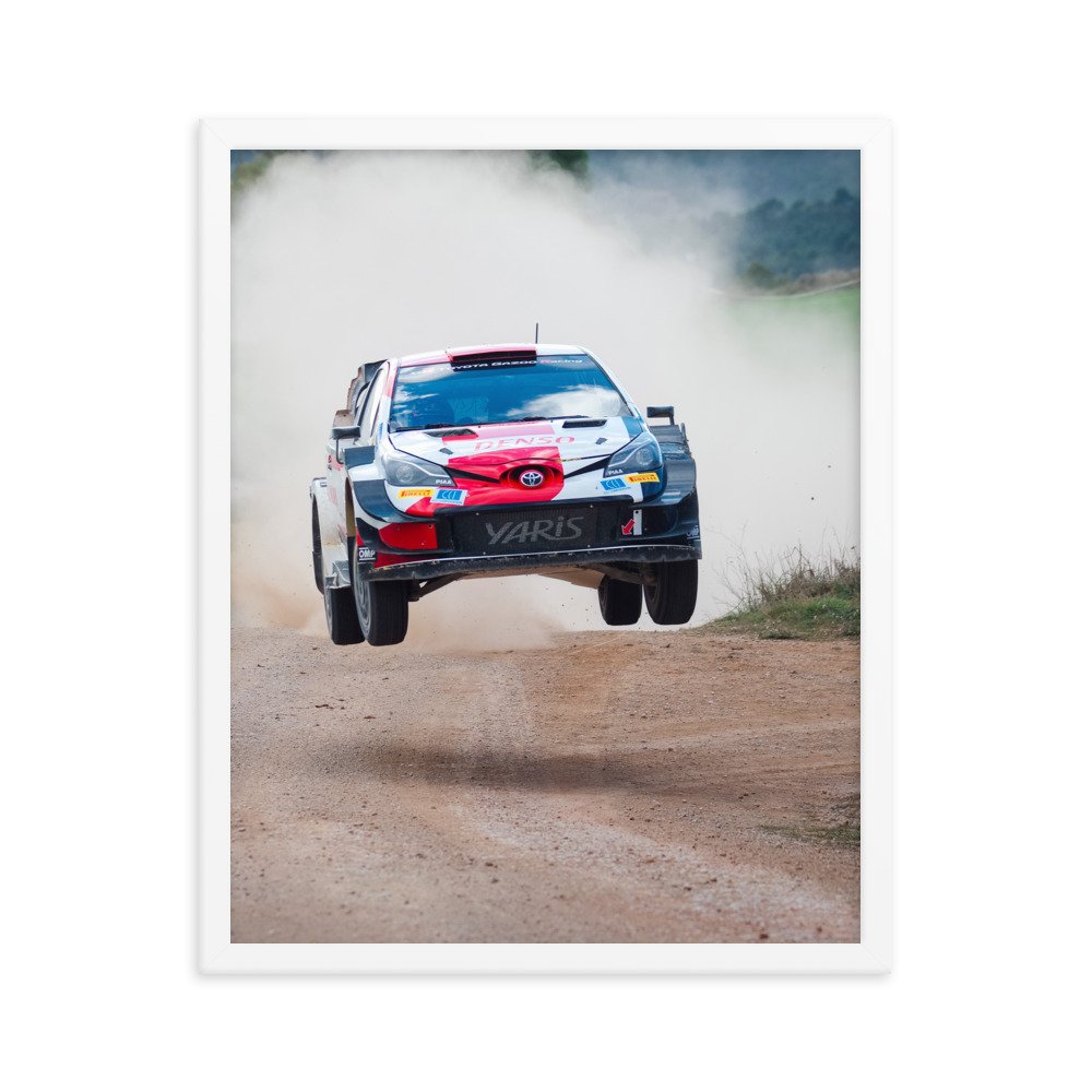 enhanced-matte-paper-framed-poster-(in)-white-16x20-transparent-621e314b7f8cd.jpg