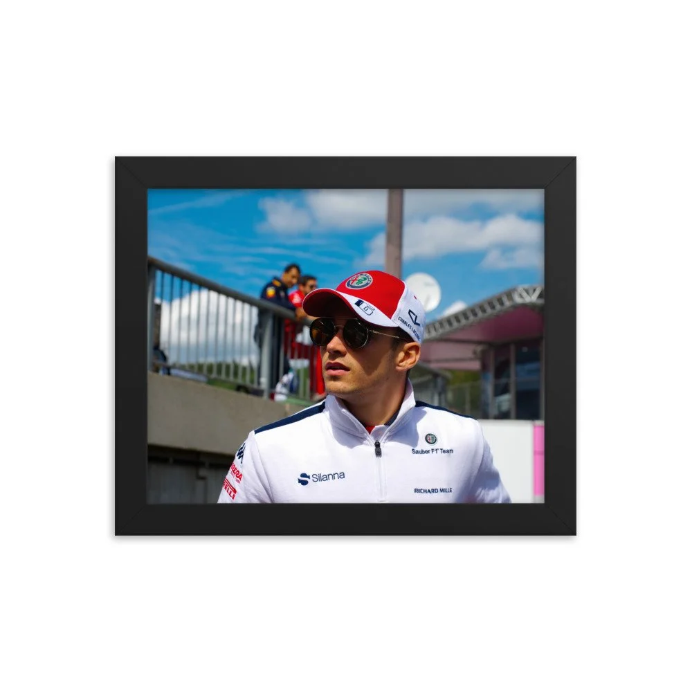 enhanced-matte-paper-framed-poster-(in)-black-8x10-transparent-62251fe000b21.jpg