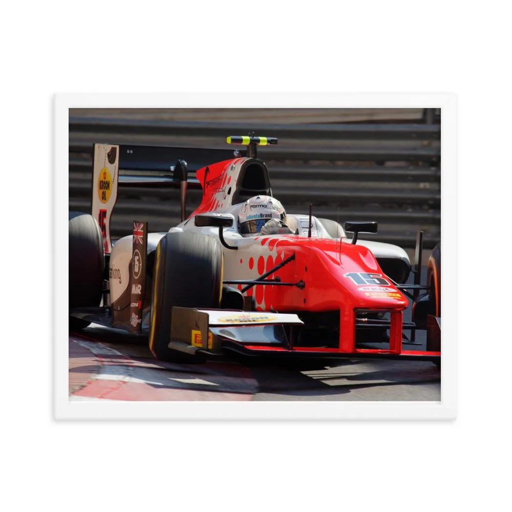 enhanced-matte-paper-framed-poster-(in)-white-16x20-transparent-62261f83d48ed.jpg