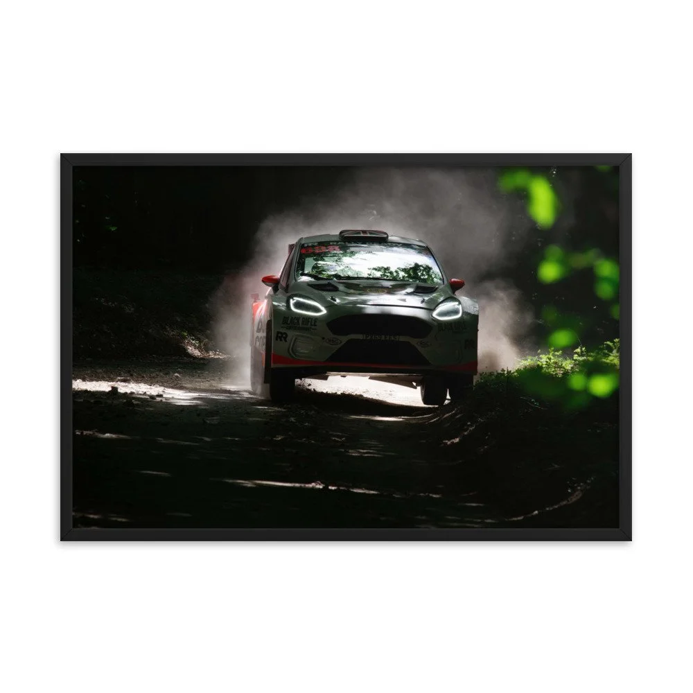 enhanced-matte-paper-framed-poster-(in)-black-24x36-transparent-62d1be1cd454d.jpg