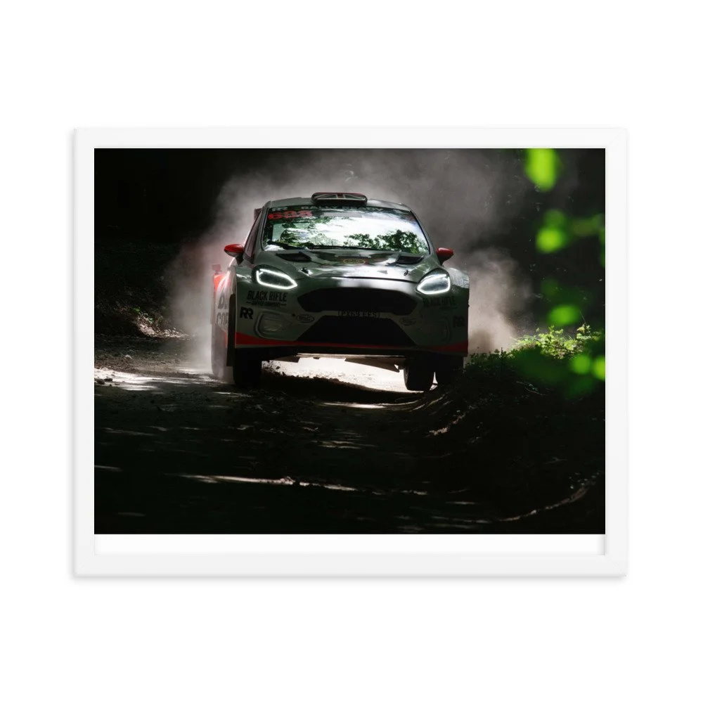 enhanced-matte-paper-framed-poster-(in)-white-16x20-transparent-62d1be1cd5625.jpg