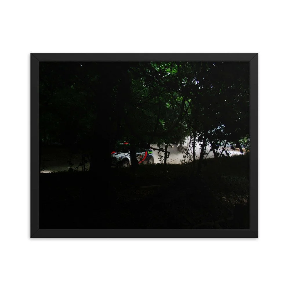 enhanced-matte-paper-framed-poster-(in)-black-16x20-transparent-62d1bf53256b1.jpg