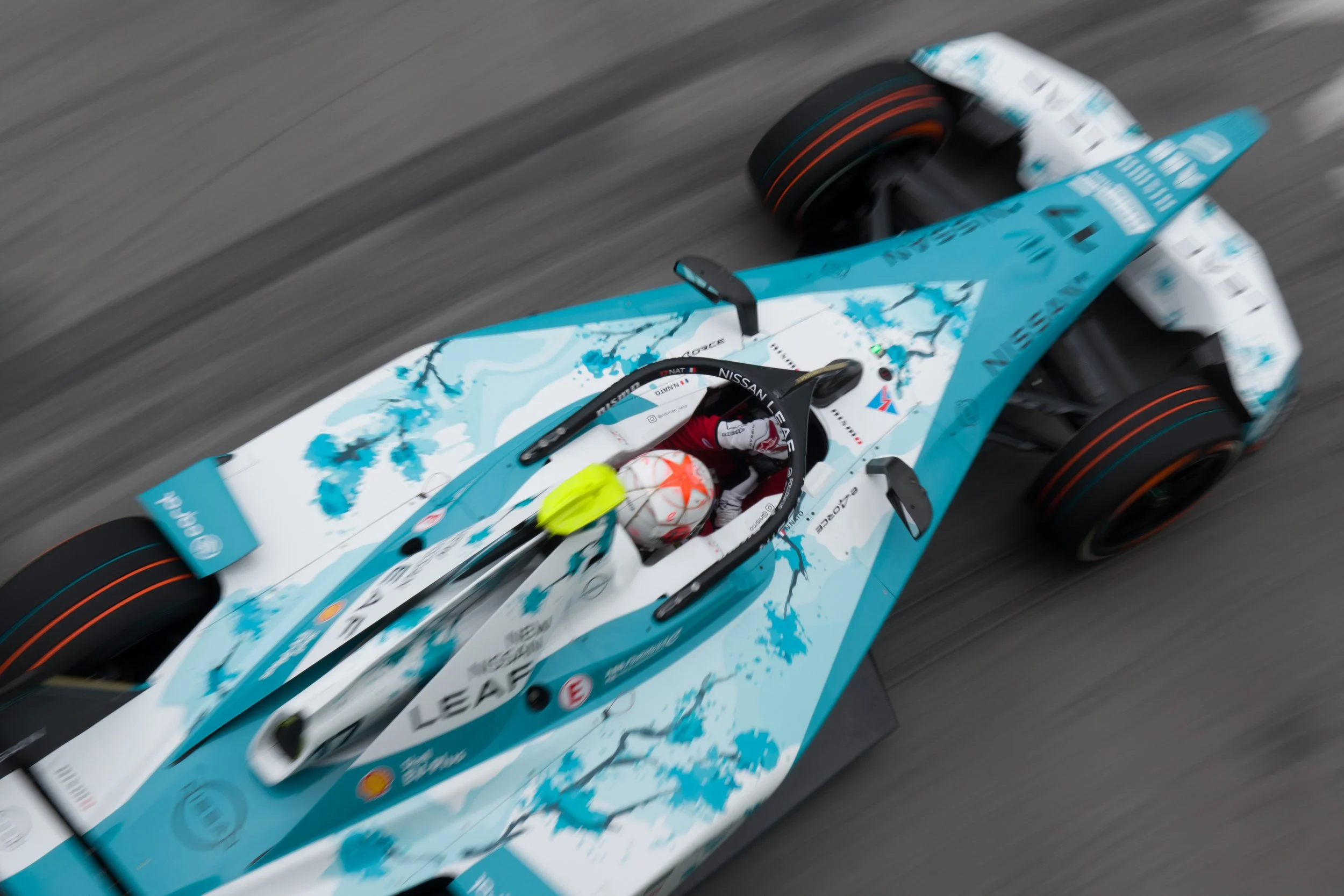 DGonzalez-4585.jpg