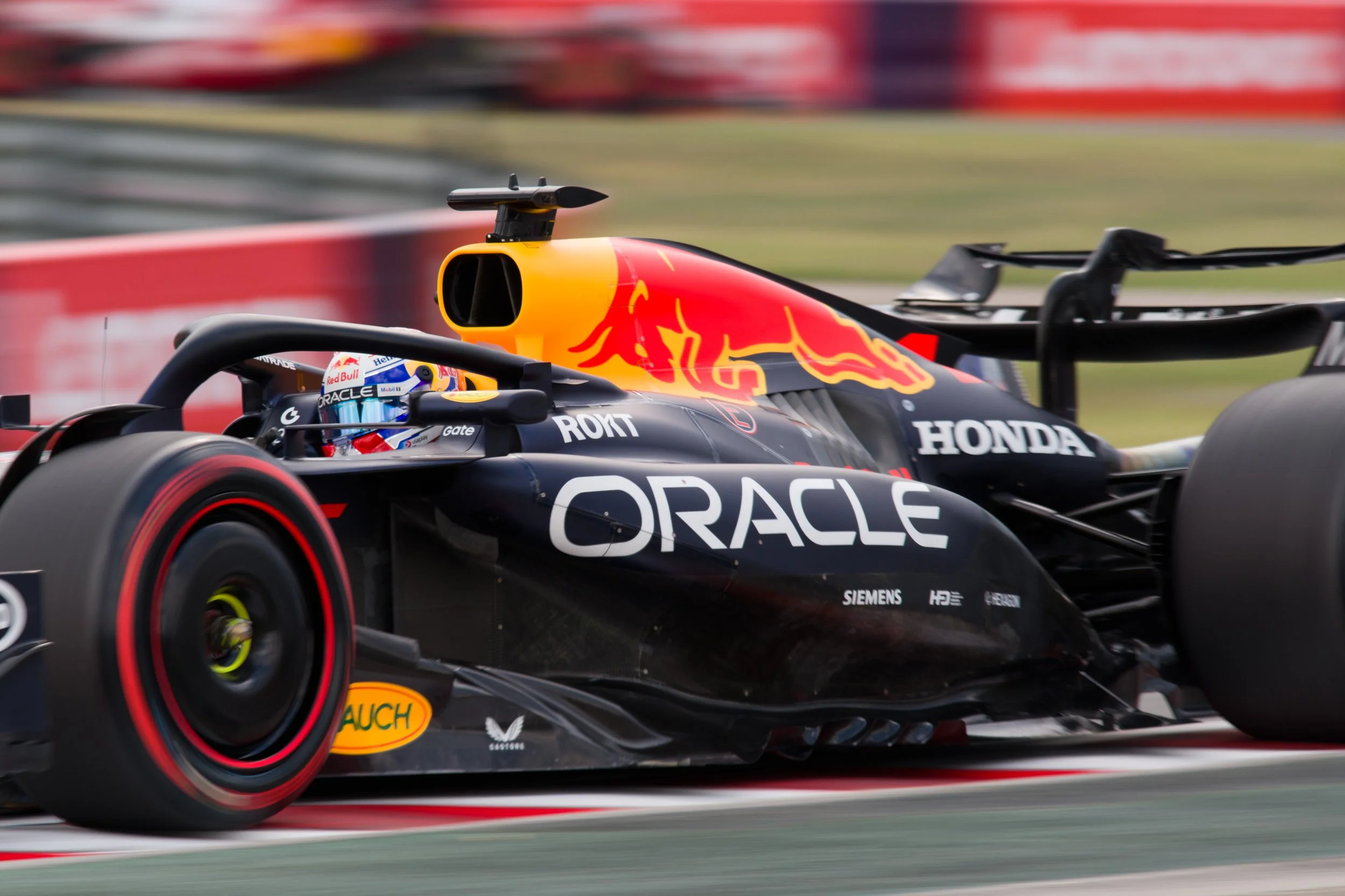 DGonzalez-0811.jpg