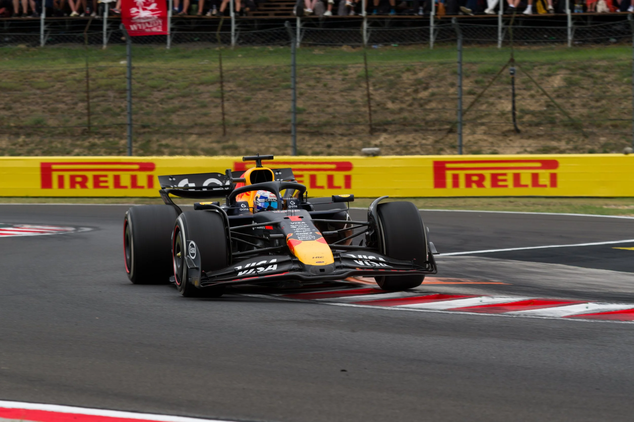 DGonzalez-179.jpg