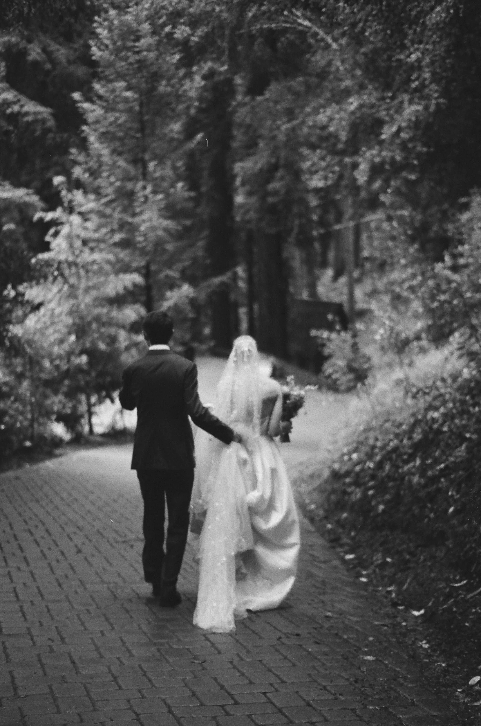 A black and white photo of a bride and groom walking away from the camera along a paved path in a park with trees. The groom is wearing a dark suit, and the bride is in a white wedding dress with a veil.