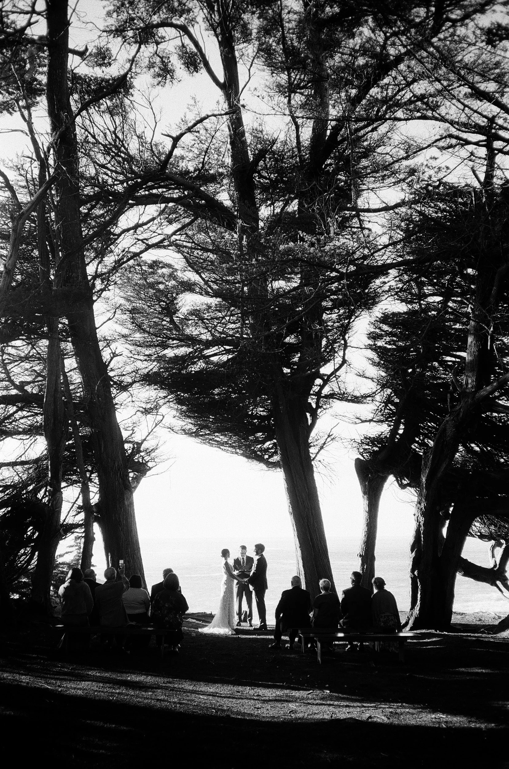 A black and white photo of a wedding ceremony outdoors underneath a large tree with many branches. The bride and groom stand facing each other, holding hands, with a person officiating. Guests are seated and standing around them, watching the ceremon