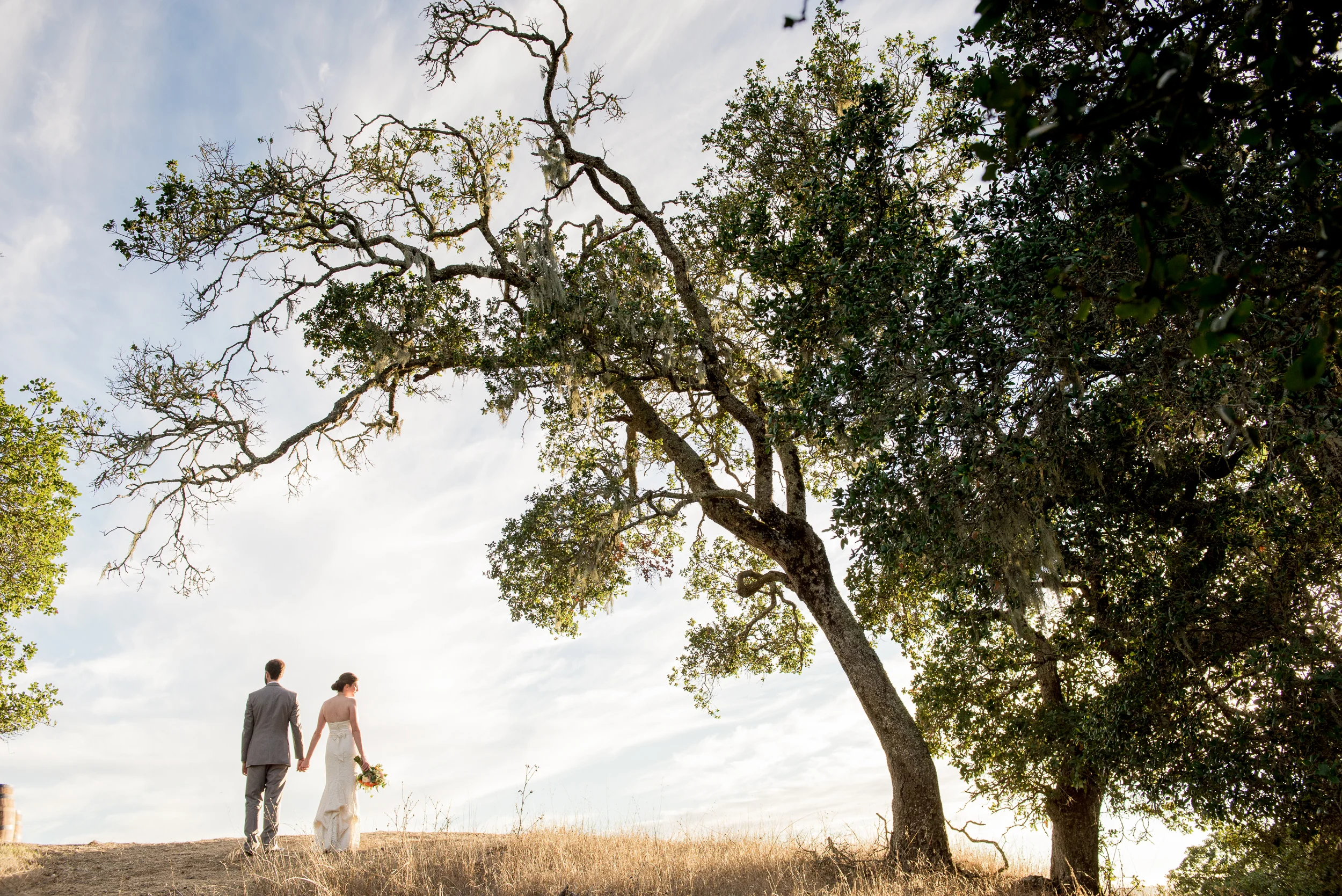 AMANDA &amp; OLIVER » Sonoma Wine Country Wedding