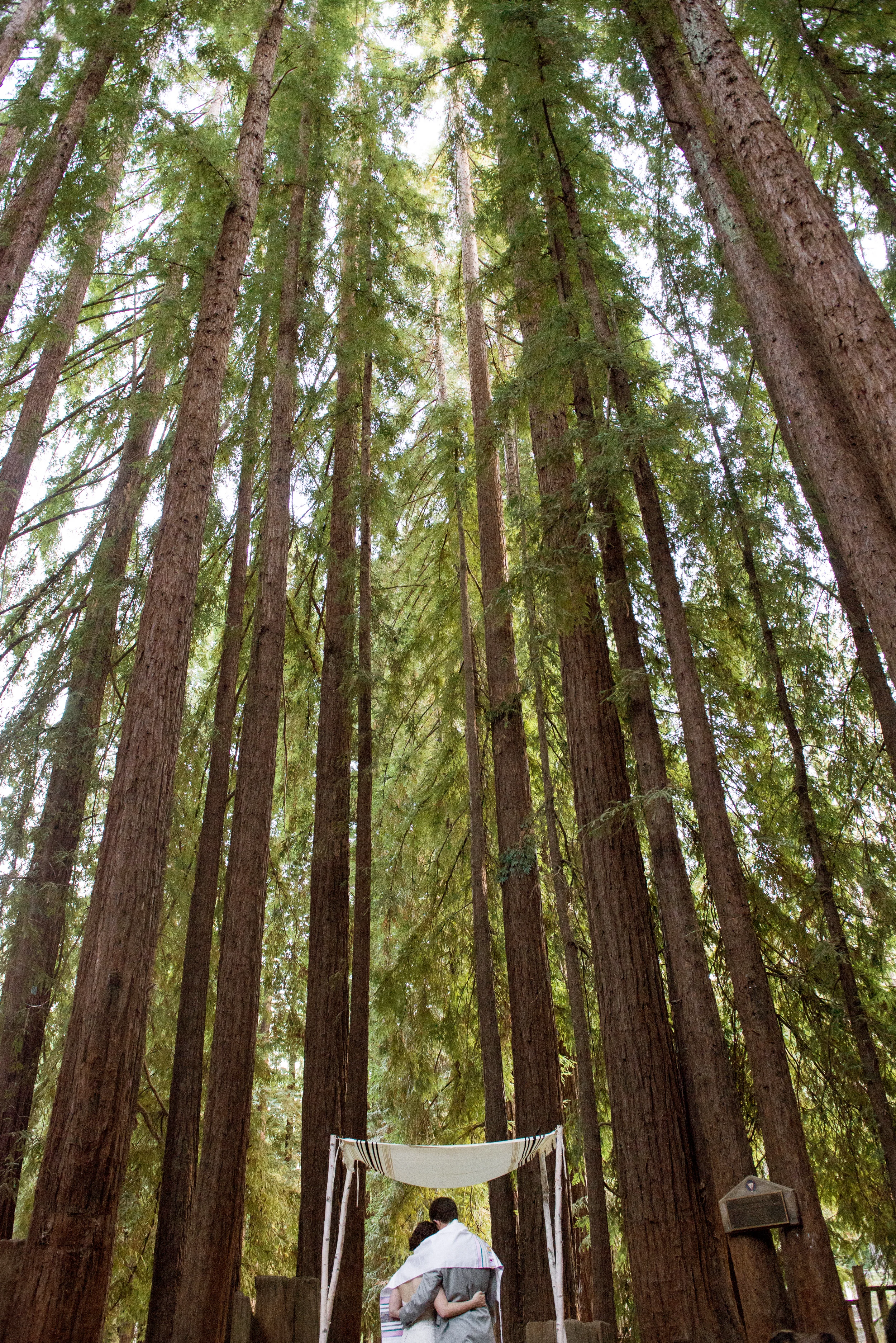 YMCA Camp Campbell Wedding » Boulder Creek, California