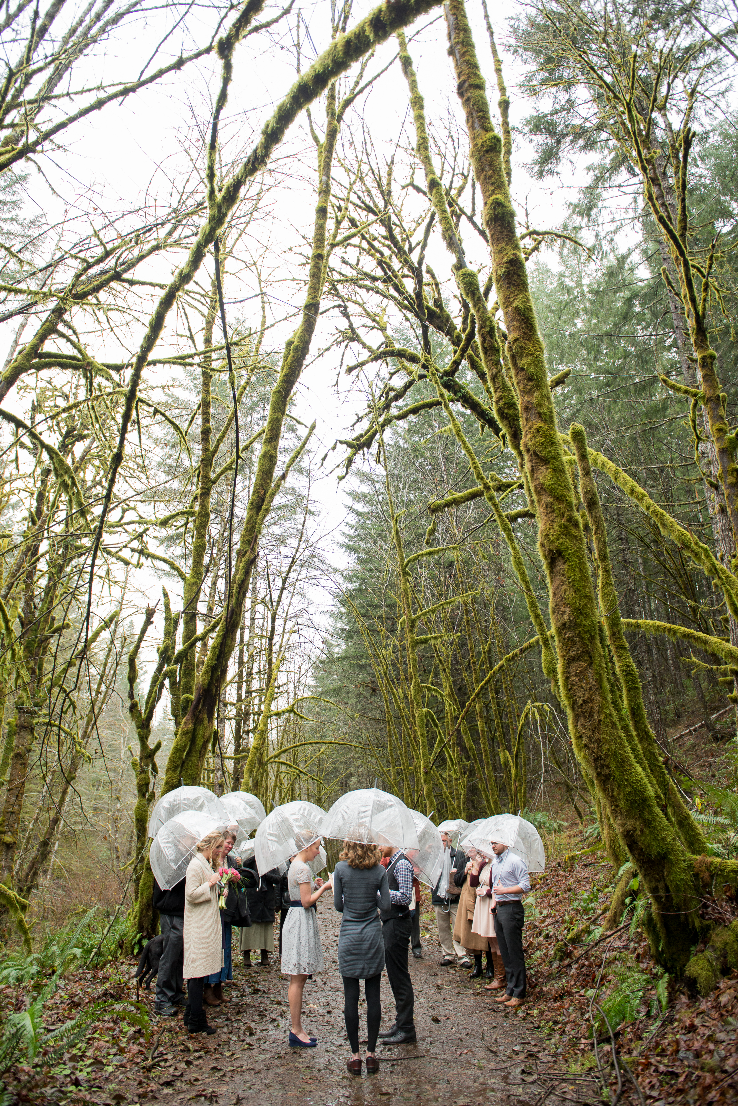 17-beazell-memorial-forest-intimate-outdoor-oregon-wedding.jpg