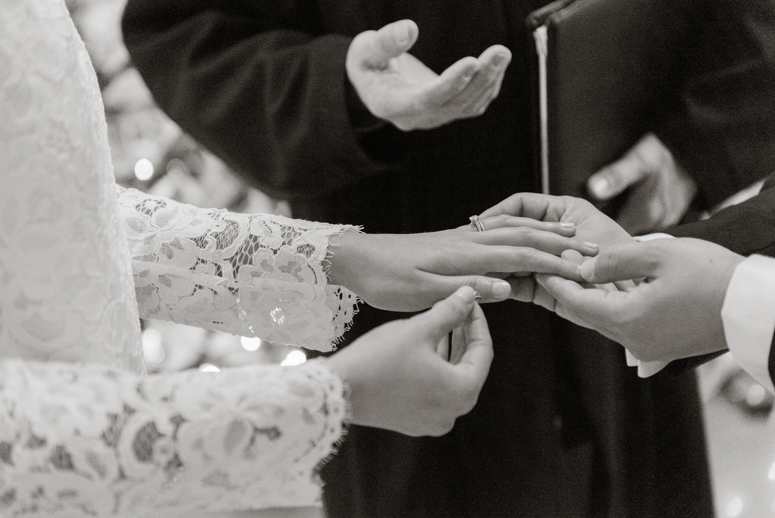 san-francisco-city-hall-elopement-photographer-jk0018.jpg