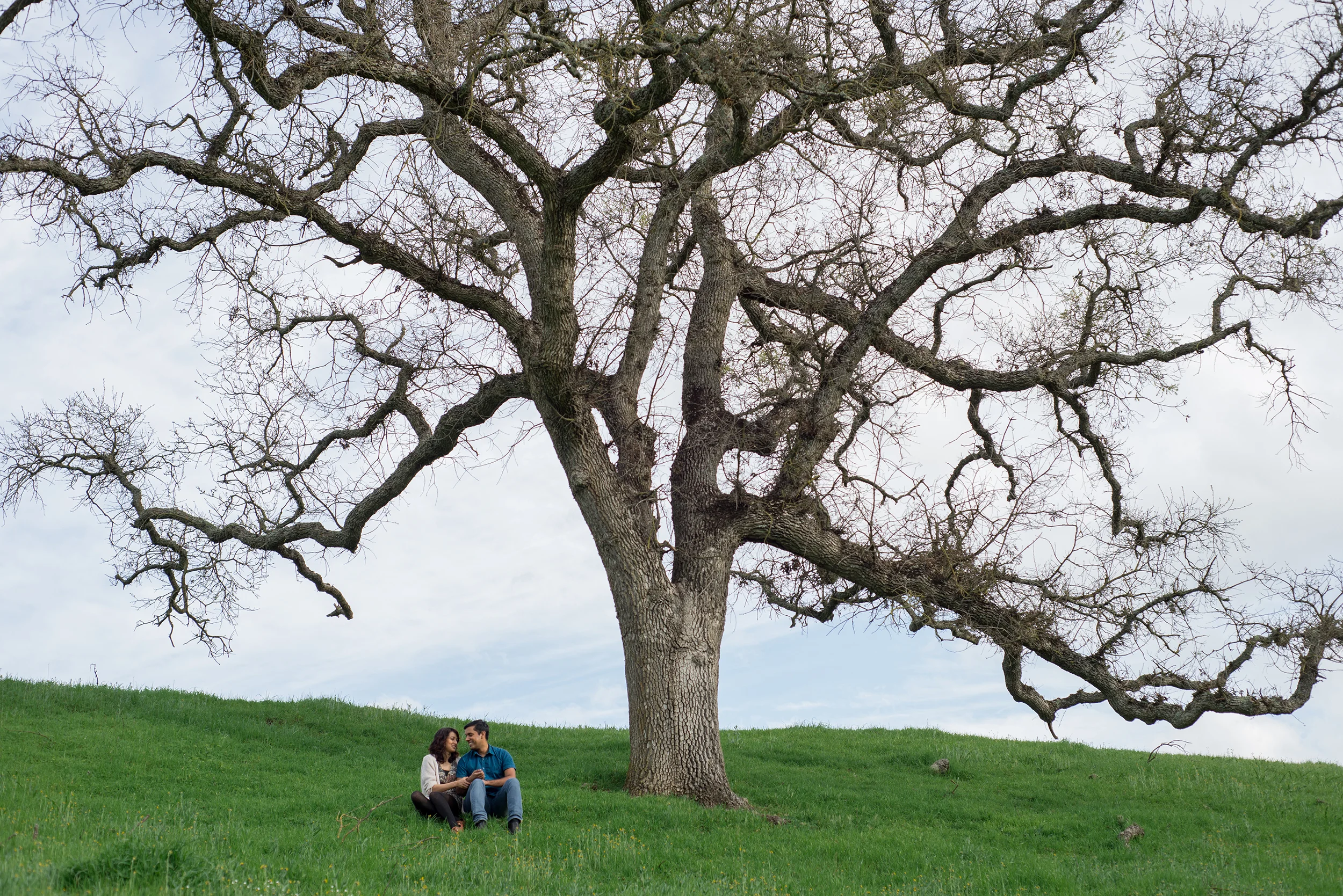12-sunol-regional-wilderness-springtime-engagement-session.jpg
