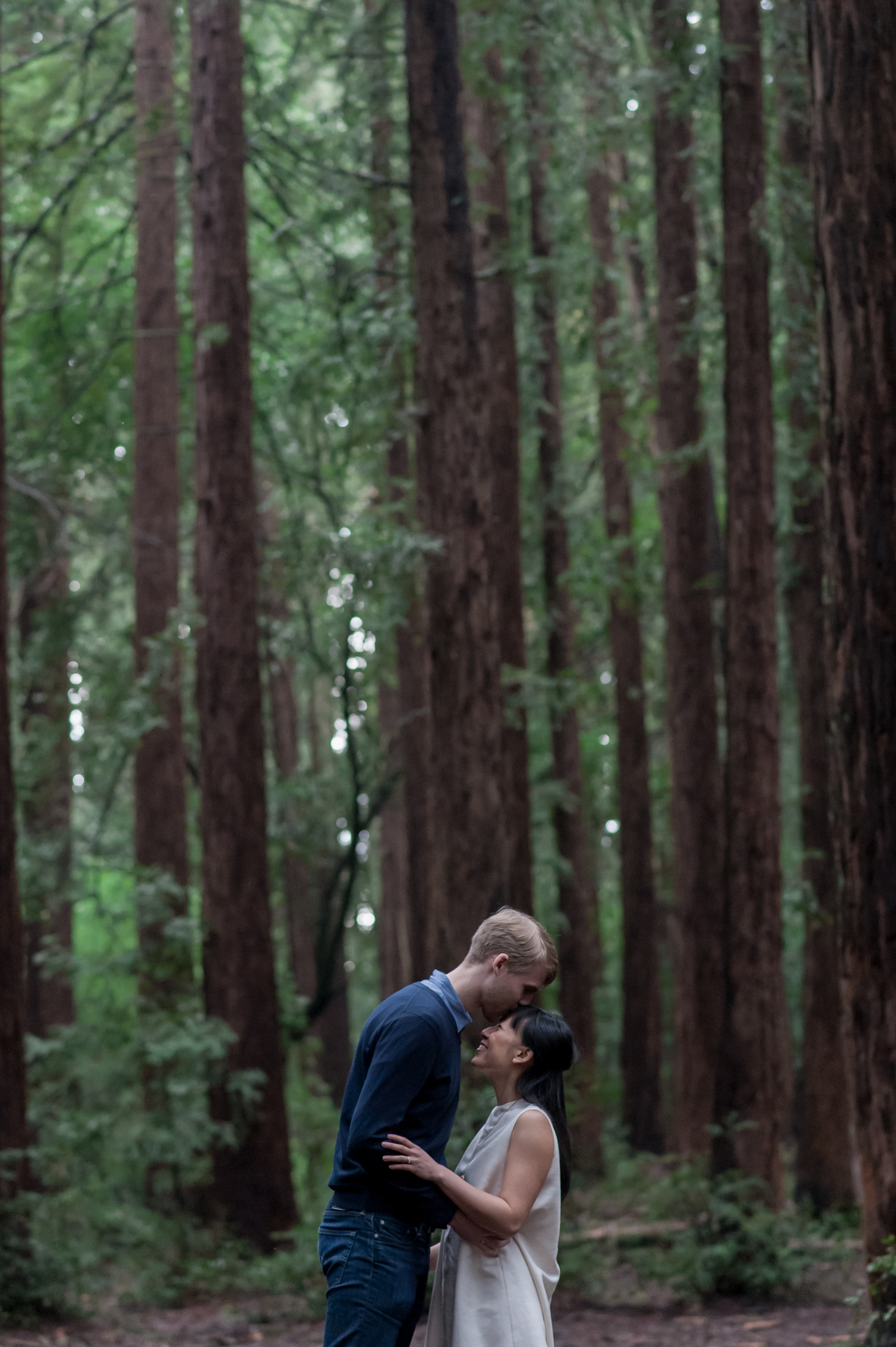 oakland-museum-redwood-forest-engagement-vc15.jpg