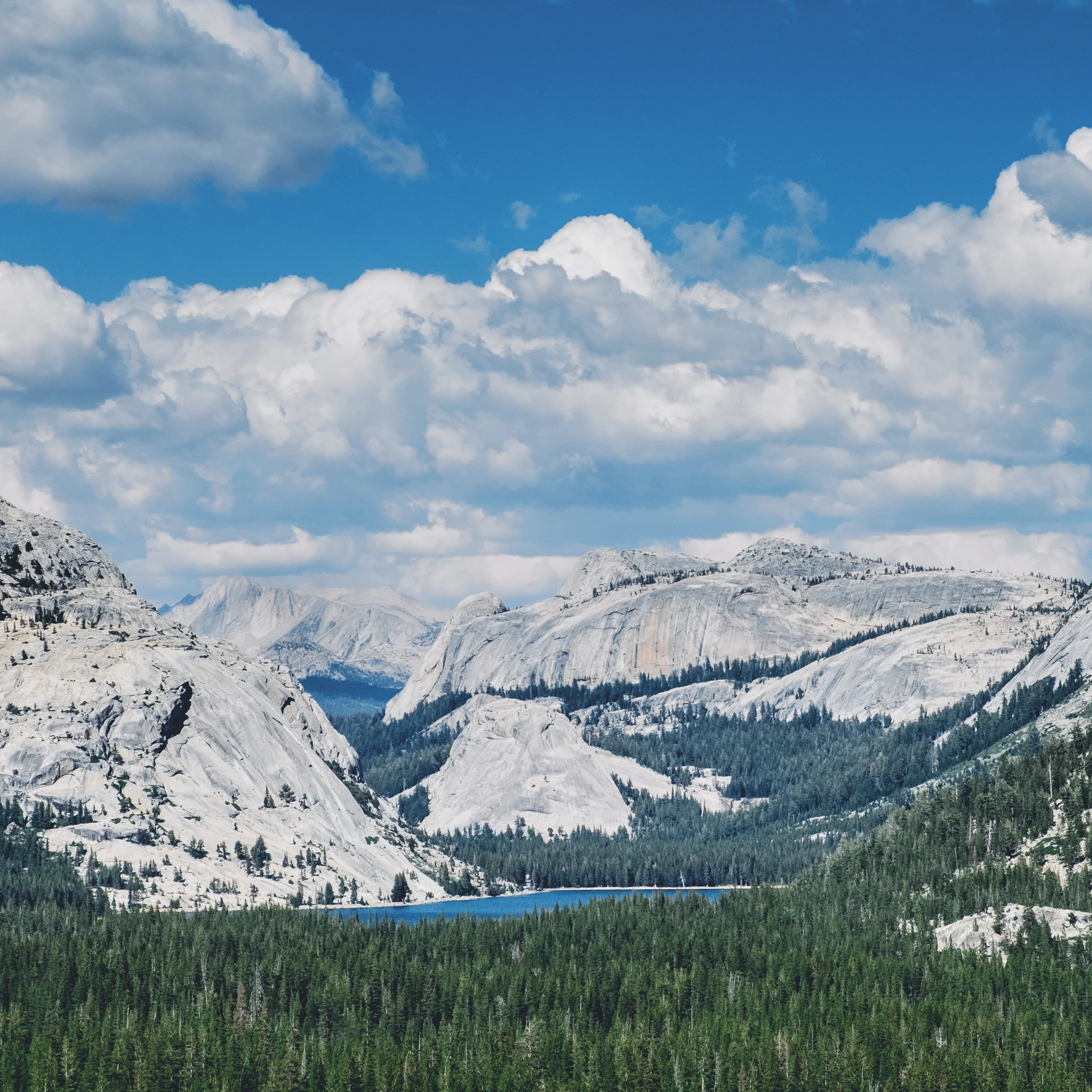 Tenaya Lake, Yosemite National Park (From Anna and Erik's Yosemite wedding .)