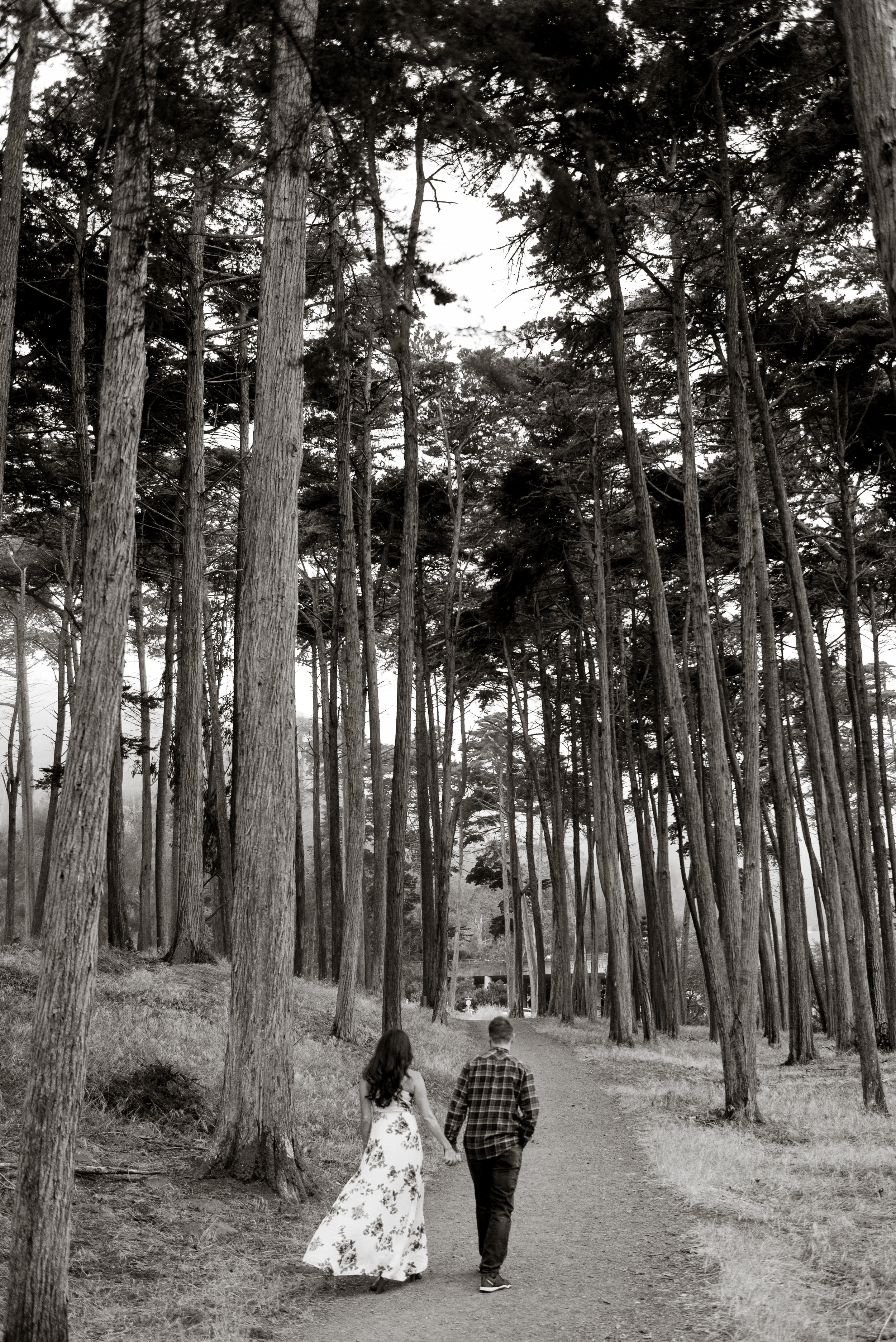 011-foggy-presidio-san-francisco-engagement-vivianchen.jpg