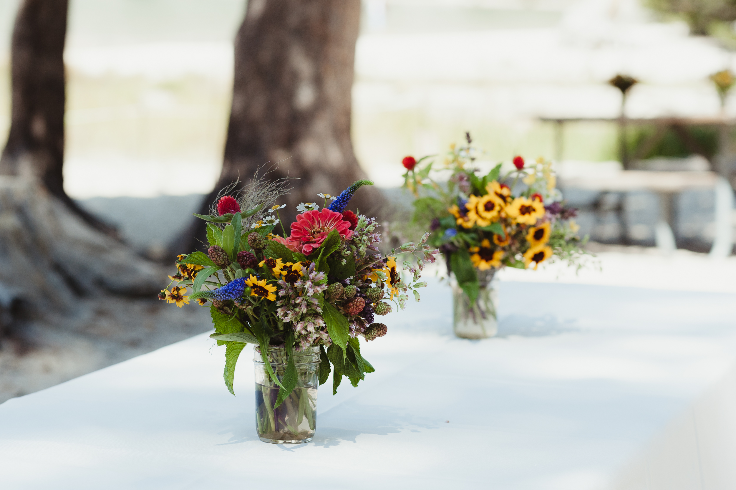 tenaya-lake-yosemite-national-park-wedding-photographer-vc33.jpg