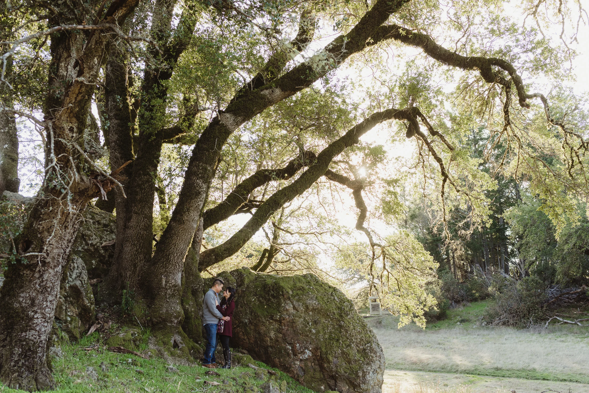01-mount-tamalpais-engagement-gj-vivianchen-0032.jpg