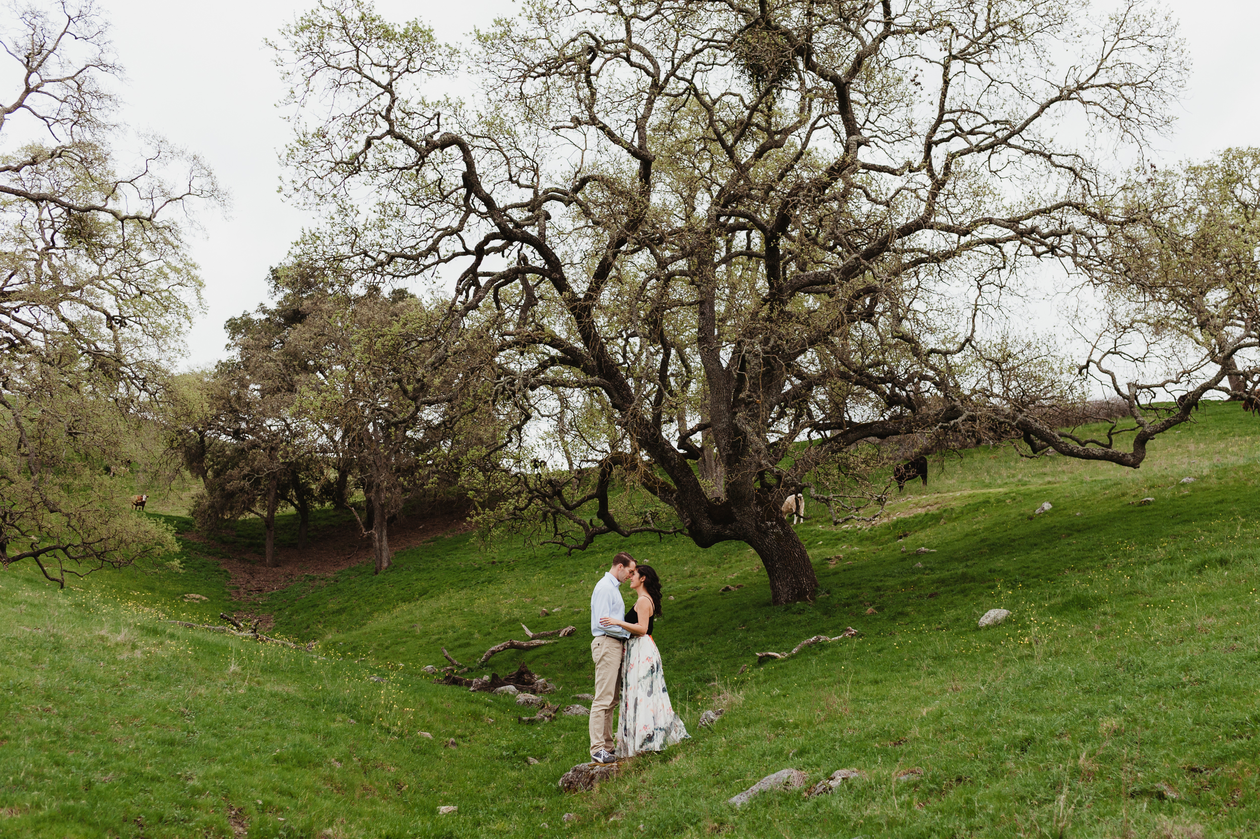 16-sunol-regional-wilderness-engagement-vivianchen-0105.jpg