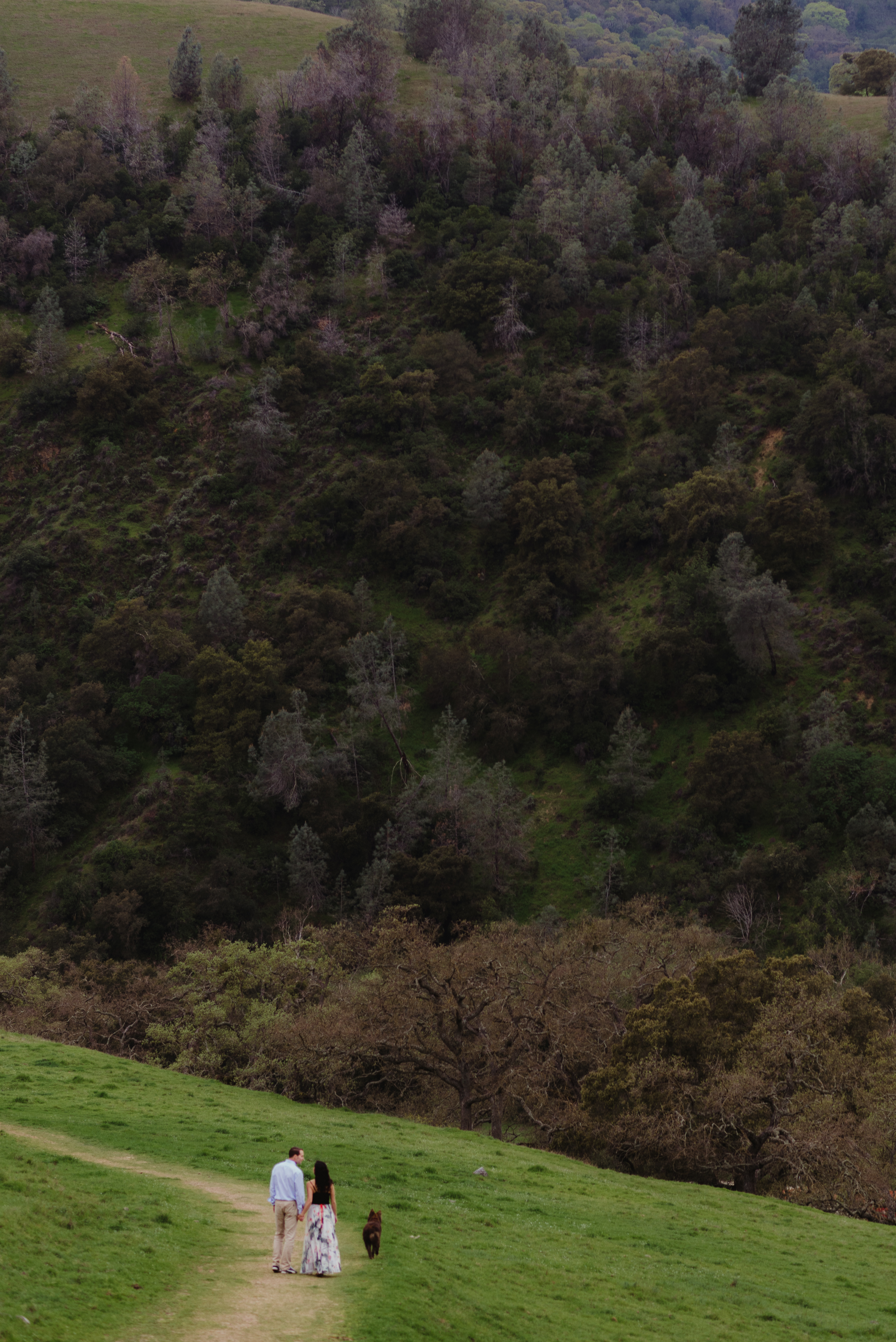 24-sunol-regional-wilderness-engagement-vivianchen-0166.jpg