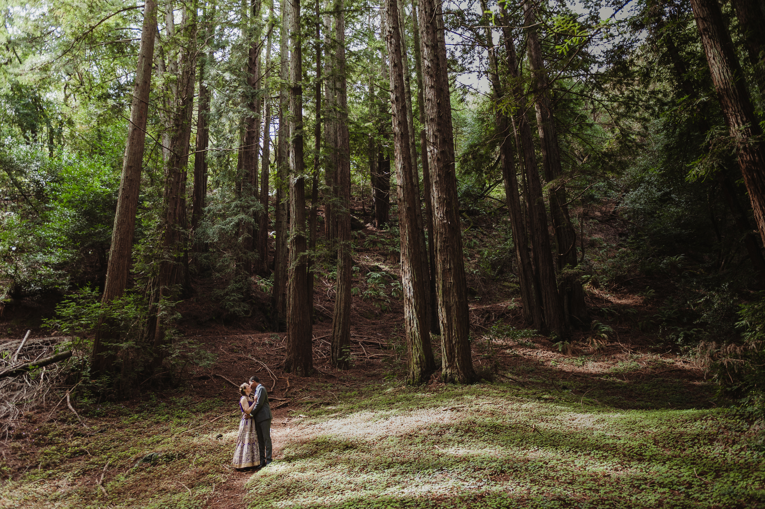 27-oakland-redwood-regional-park-wedding-vivianchen-370.jpg