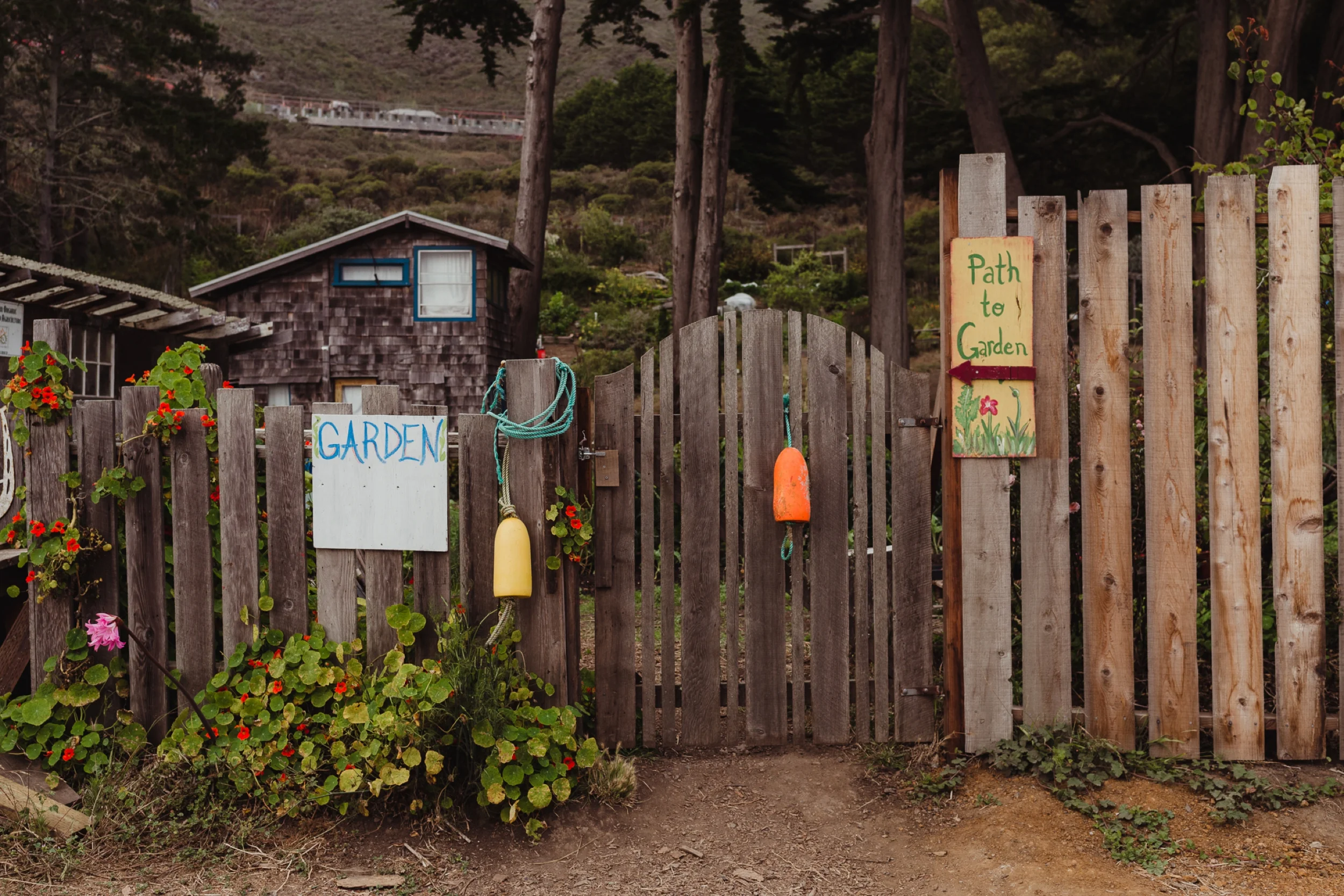 slide-ranch-engagement-photographer-vivianchen-0003_WEB.jpg