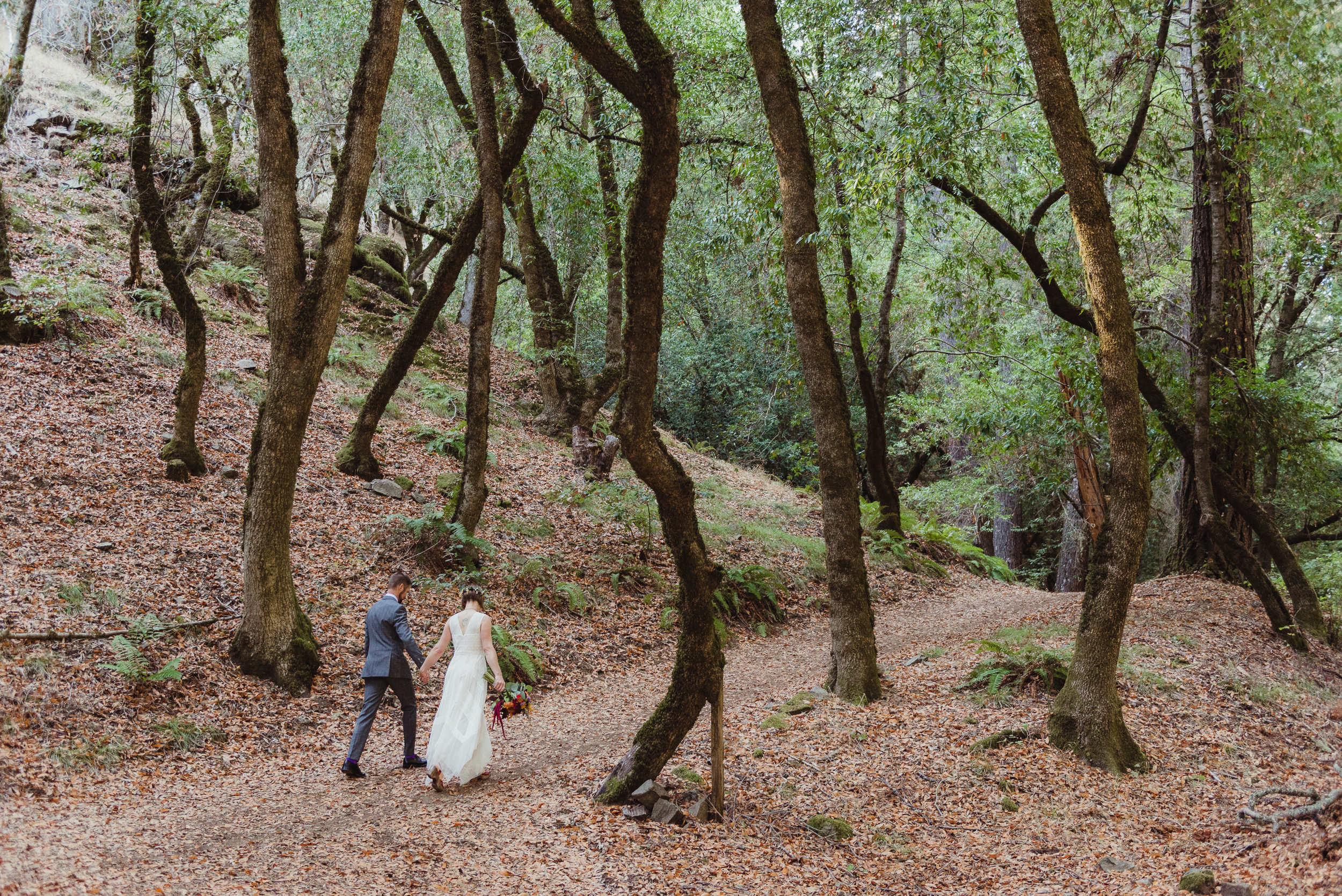 18-intimate-redwood-valley-leonard-lake-wedding-vivianchen-148.jpg