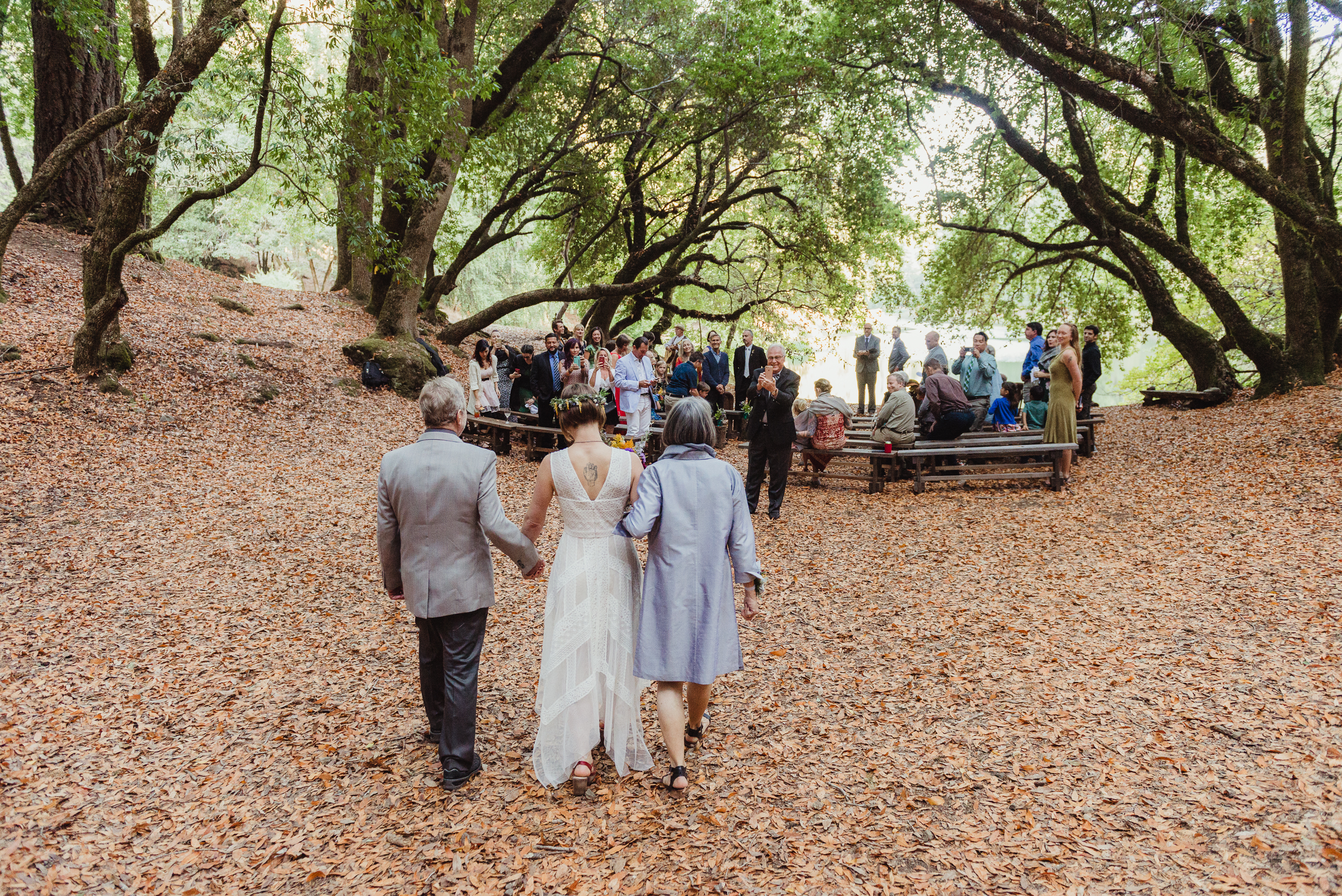 36-intimate-redwood-valley-leonard-lake-wedding-vivianchen-295.jpg