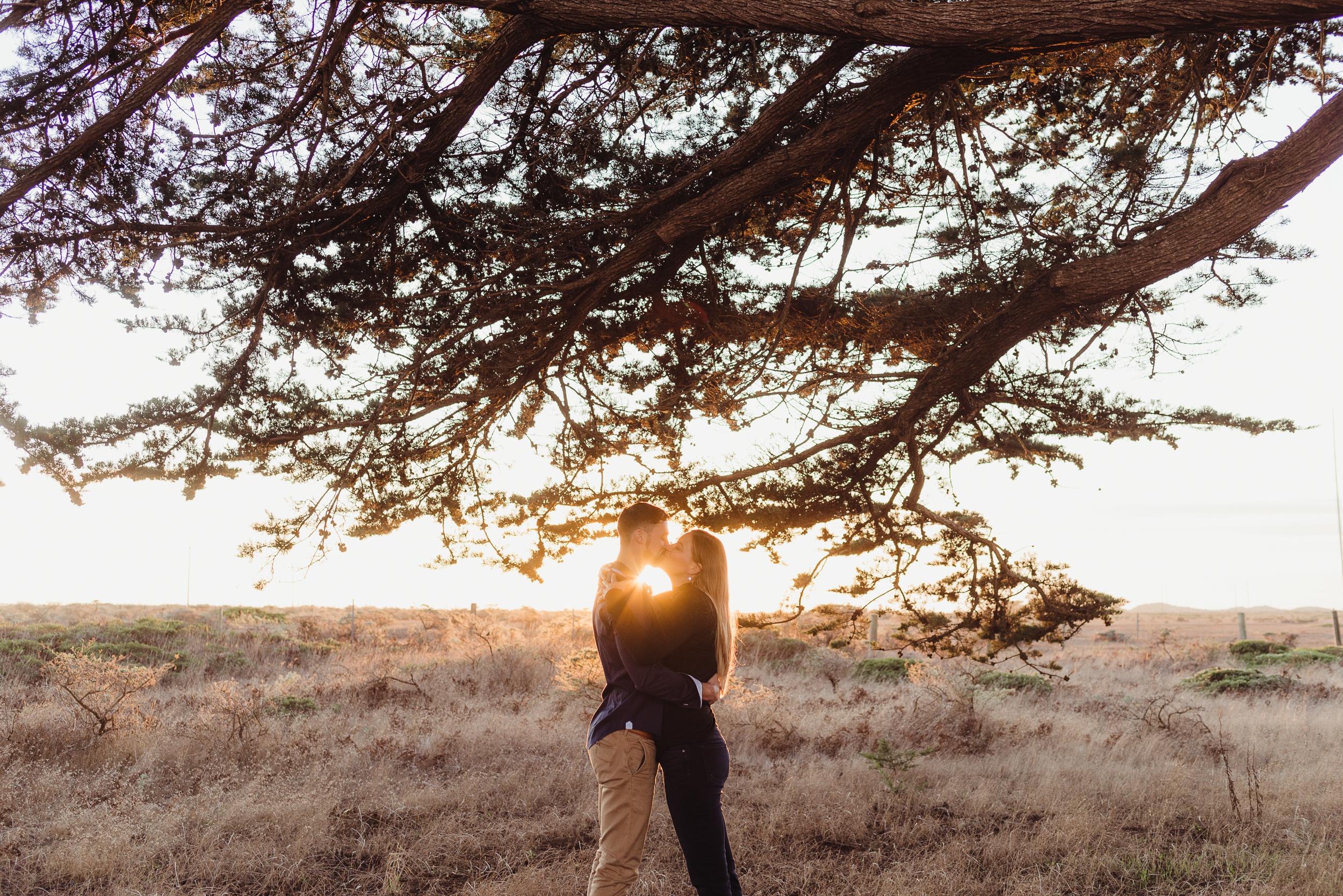 point-reyes-national-seashore-engagement-session-vivianchen-157.jpg