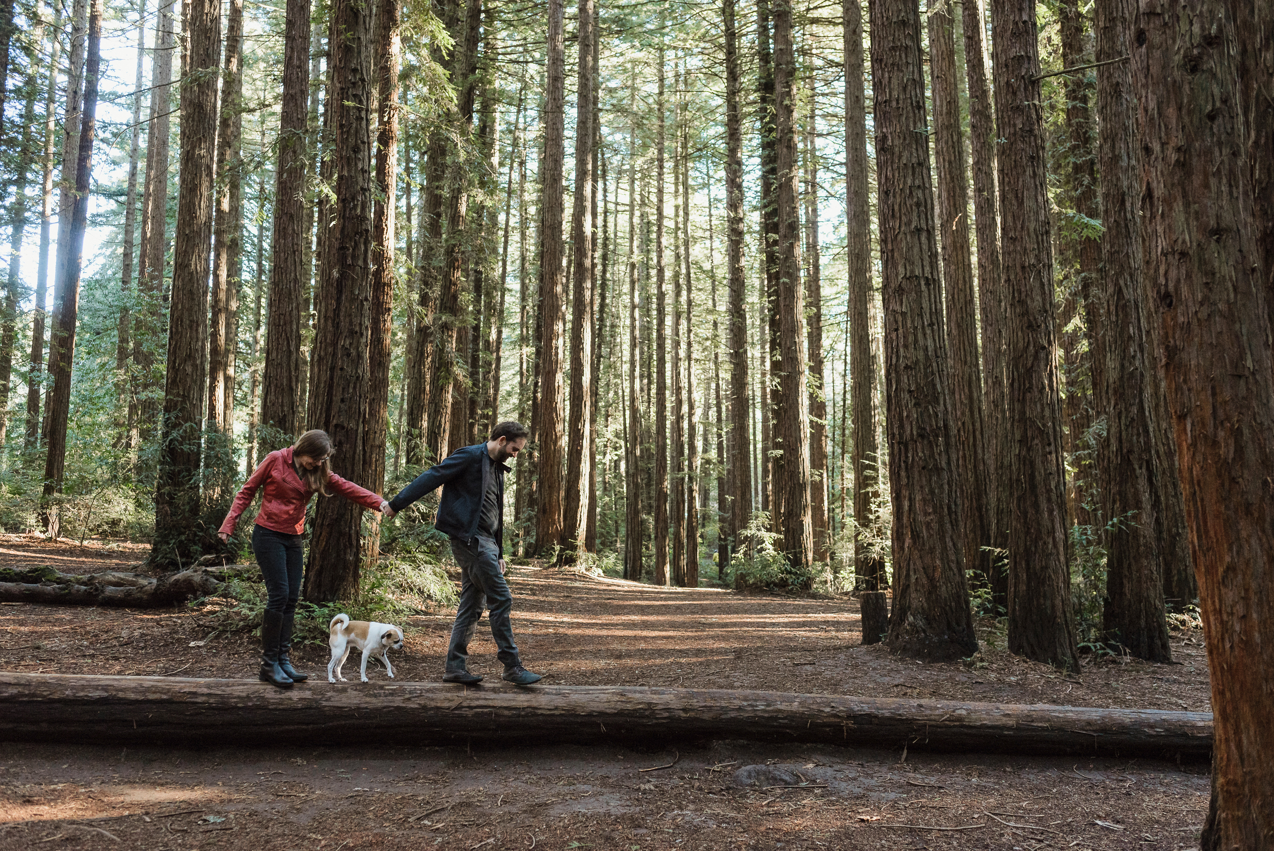 oakland-joaquin-miller-park-redwood-grove-engagement-session-vivianchen-019.jpg