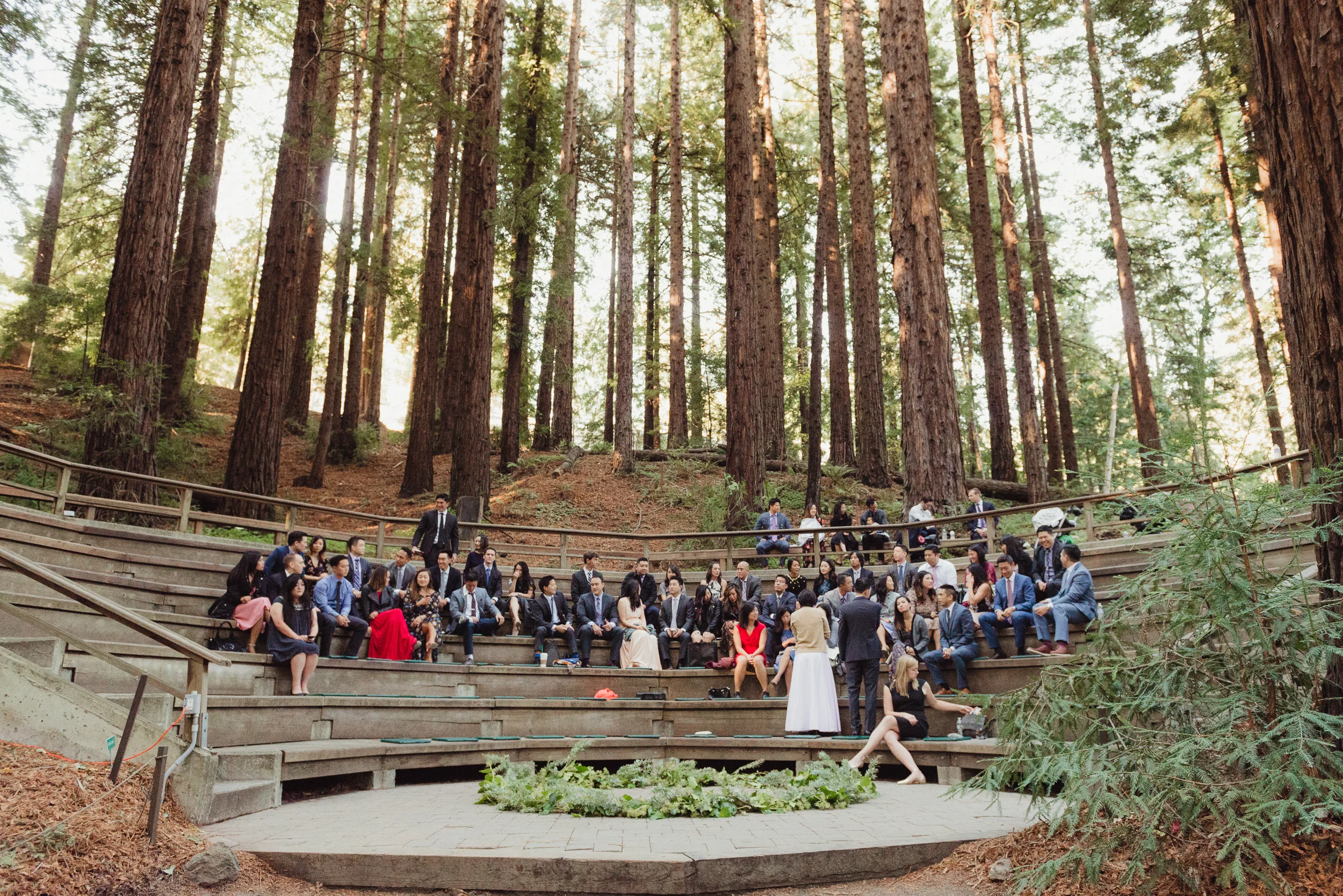 Tammy David In Berkeley Mather Redwood Grove Uc Botanical