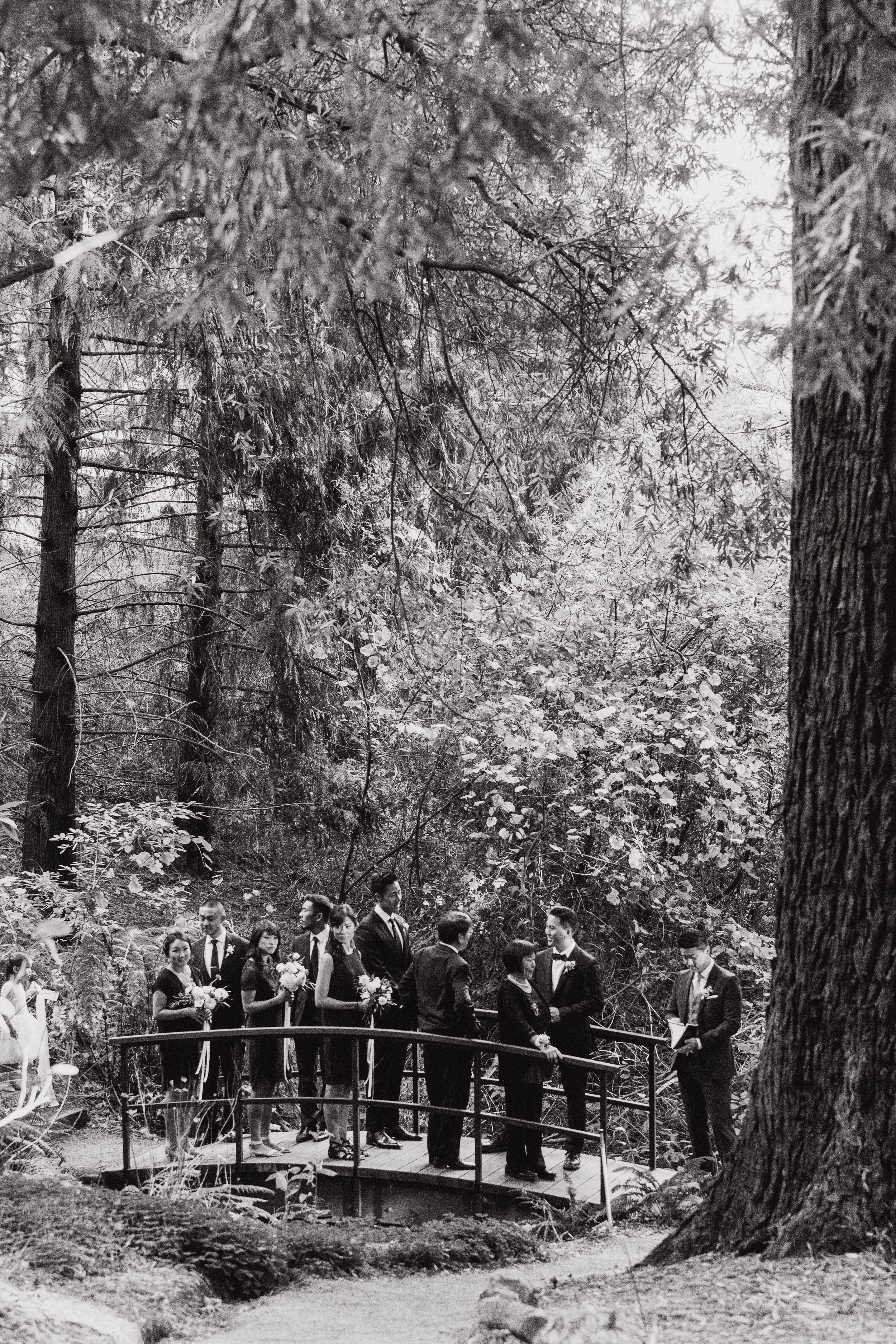 16-mather-redwood-grove-uc-botanical-garden-wedding-vivianchen-094.jpg