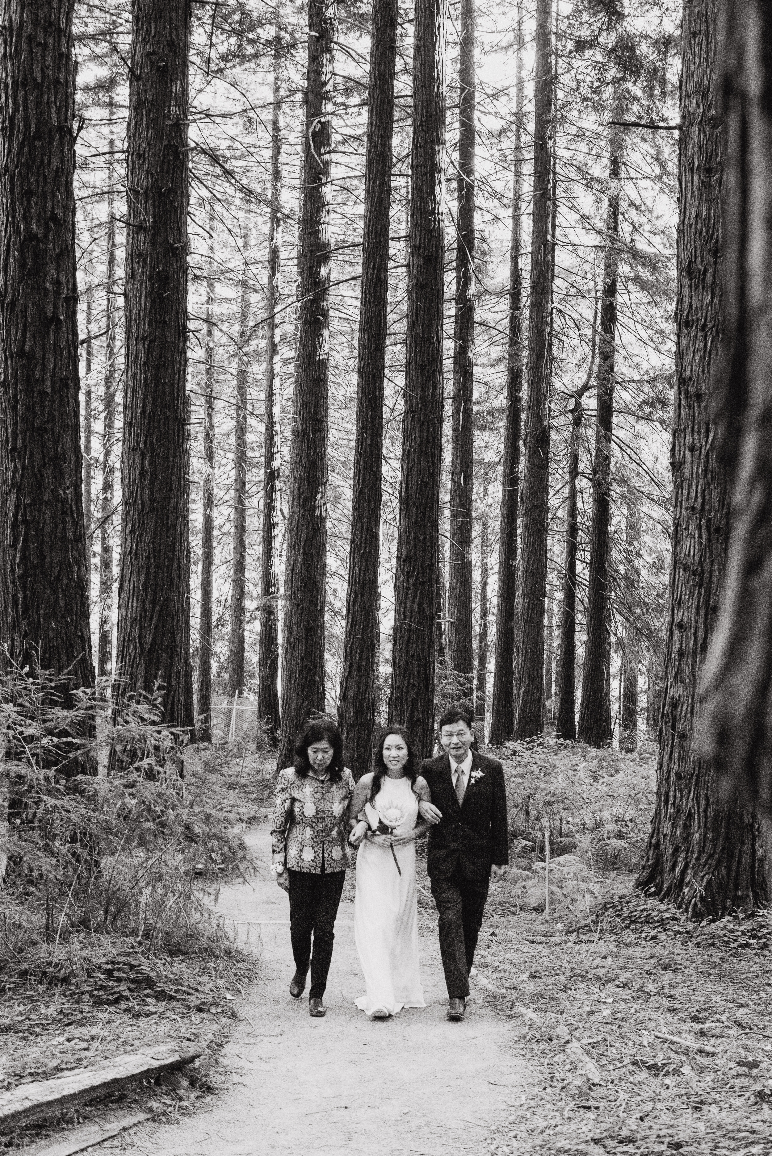 20-mather-redwood-grove-uc-botanical-garden-wedding-vivianchen-132.jpg