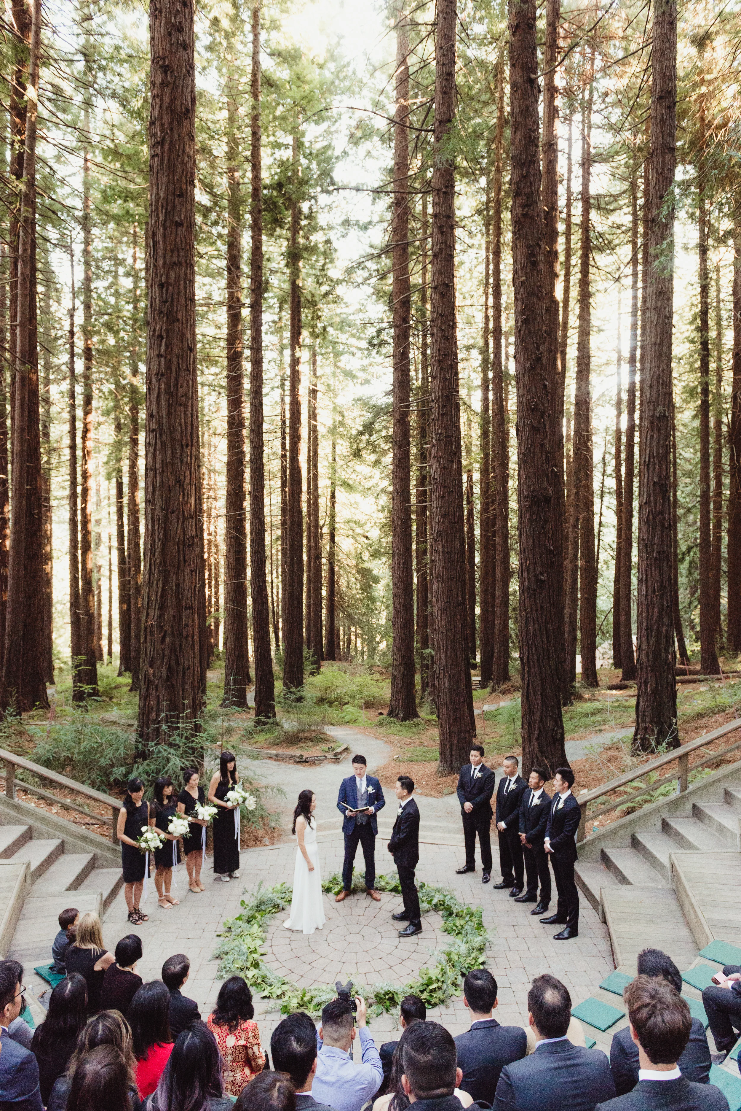 Tammy David In Berkeley Mather Redwood Grove Uc Botanical