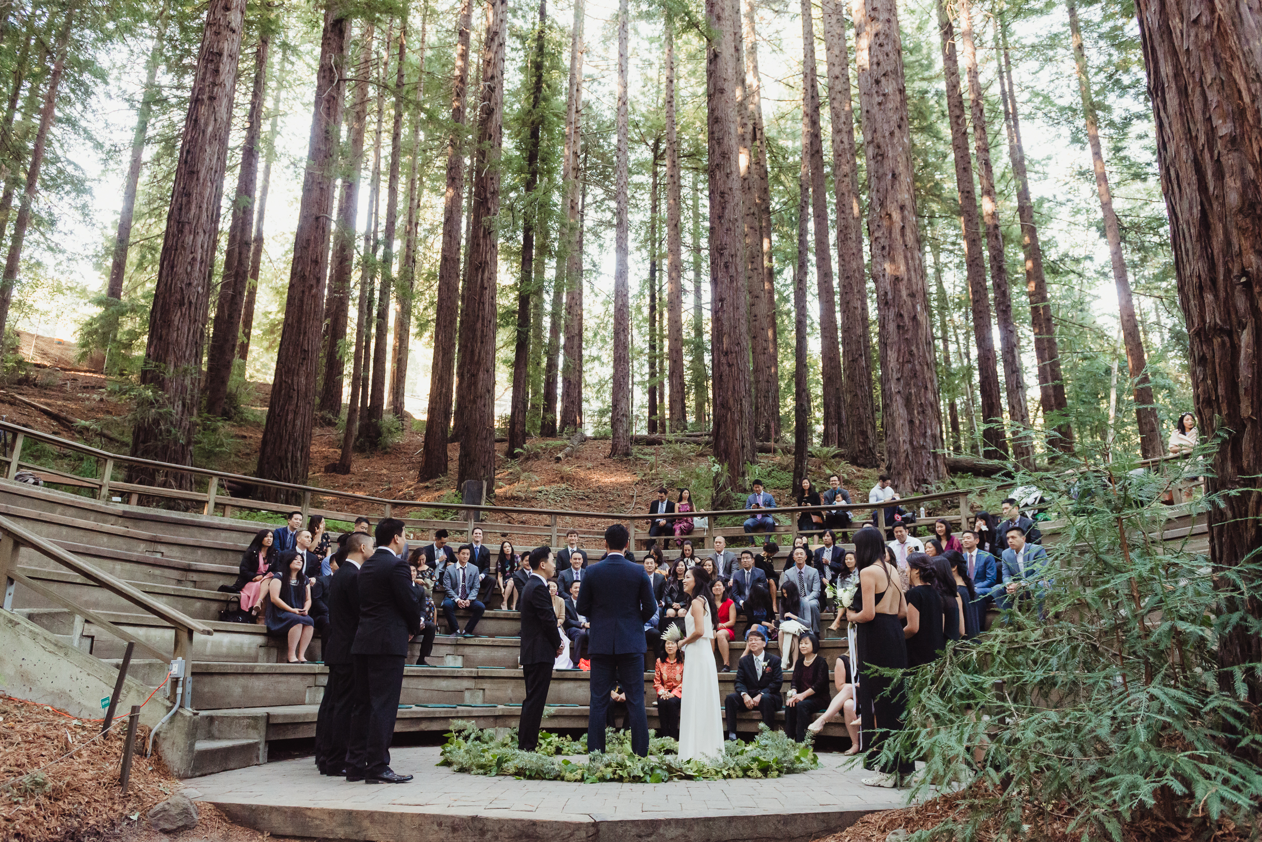 25-mather-redwood-grove-uc-botanical-garden-wedding-vivianchen-139.jpg