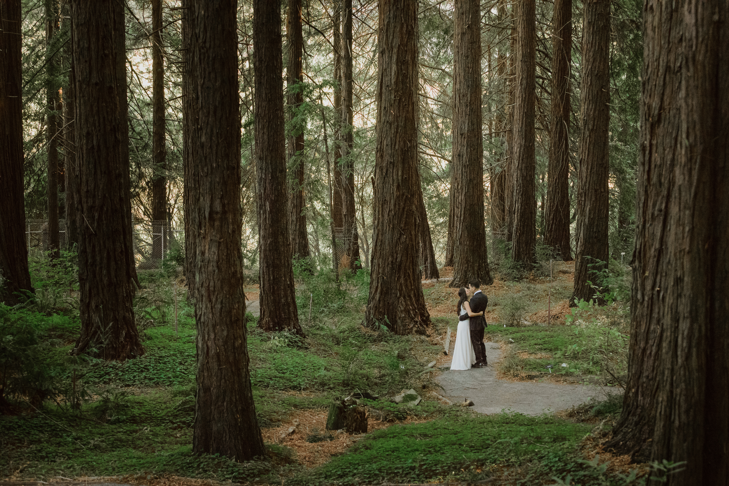 33-mather-redwood-grove-uc-botanical-garden-wedding-vivianchen-214.jpg