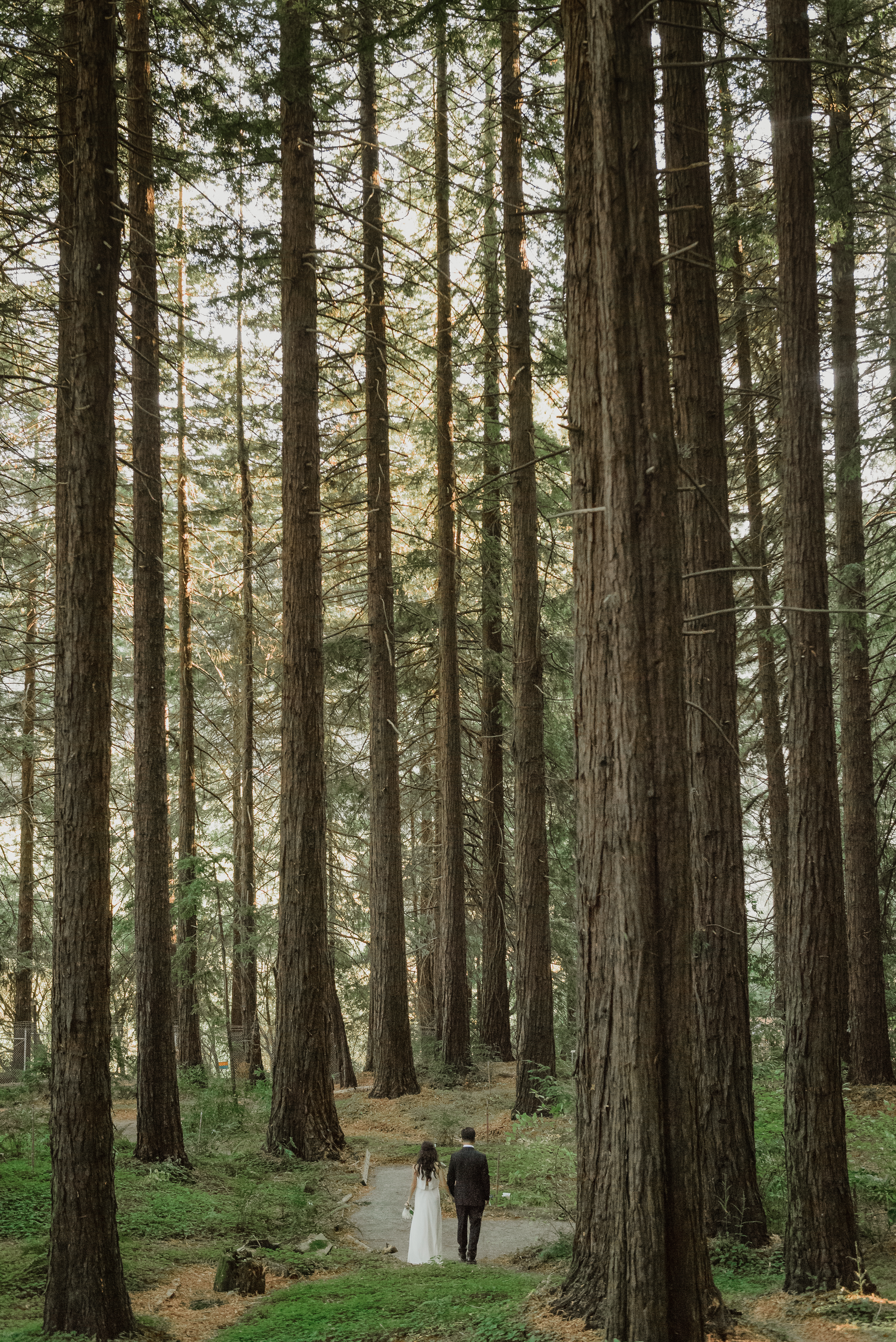 32-mather-redwood-grove-uc-botanical-garden-wedding-vivianchen-210.jpg