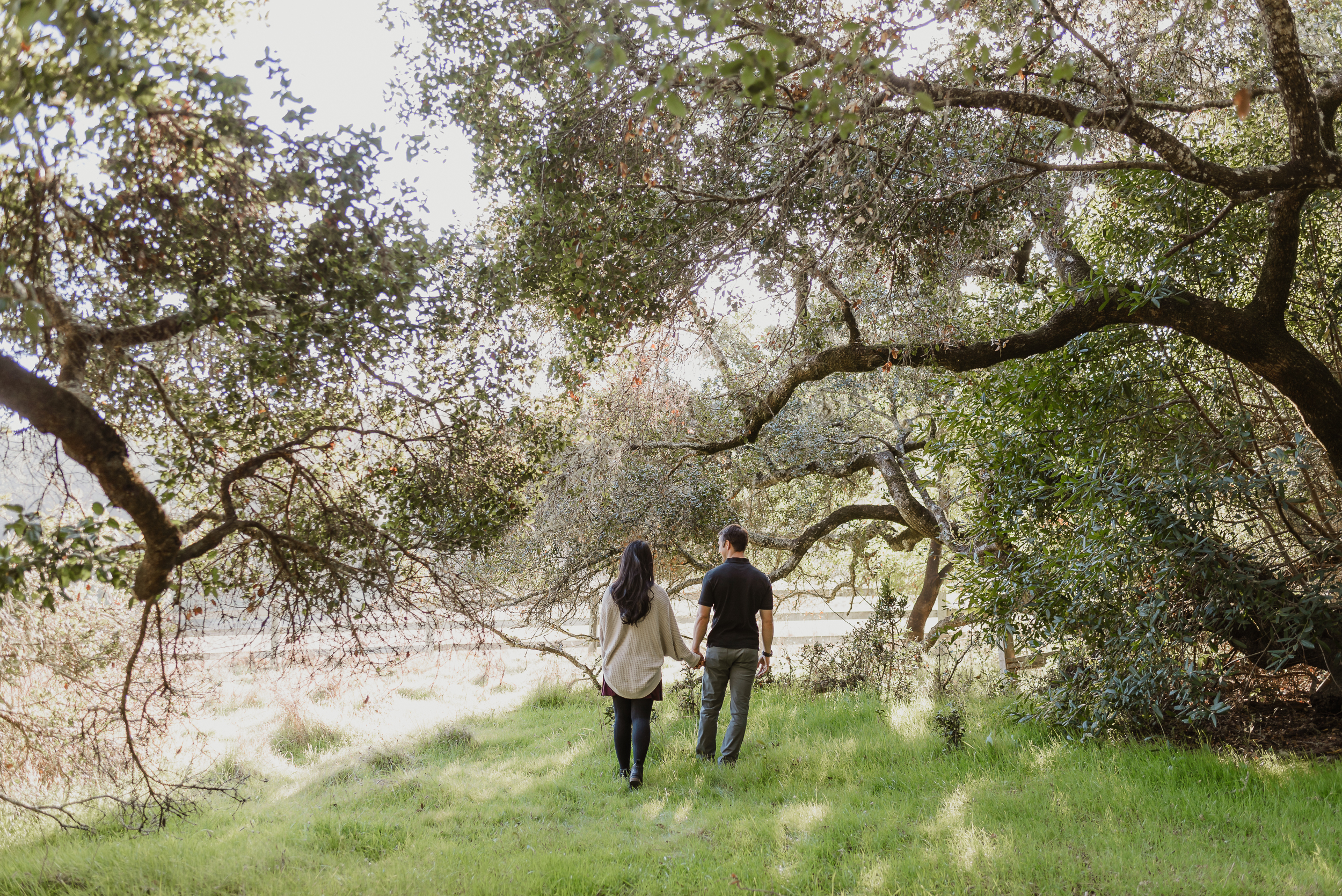 01-point-reyes-national-seashore-engagement-shoot-vivianchen-005.jpg