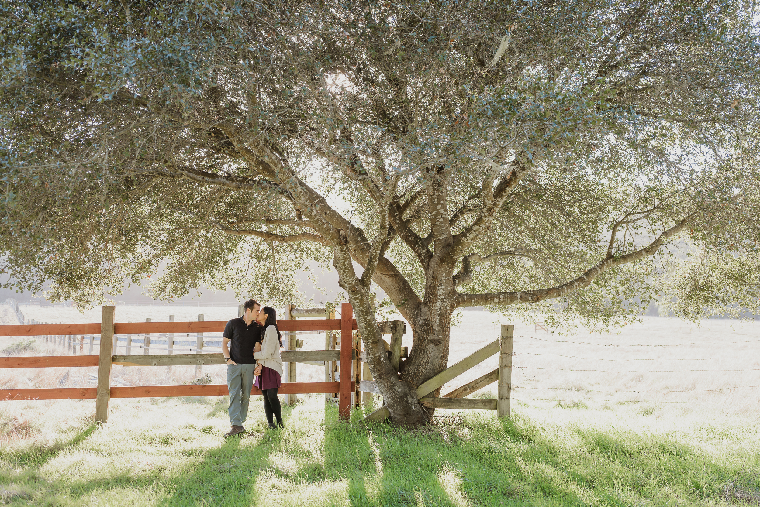 03-point-reyes-national-seashore-engagement-shoot-vivianchen-029.jpg