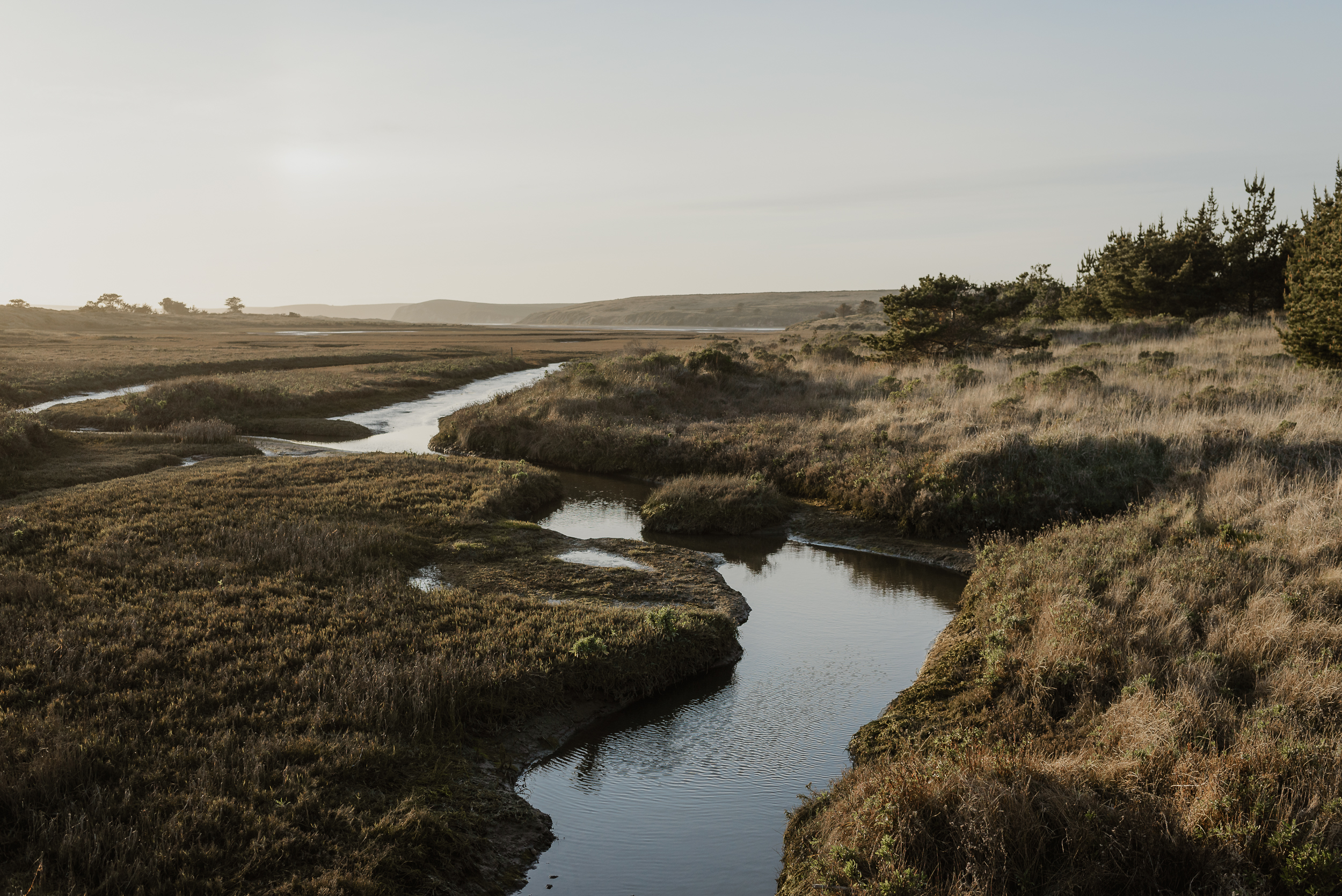 15-point-reyes-national-seashore-engagement-shoot-vivianchen-097.jpg