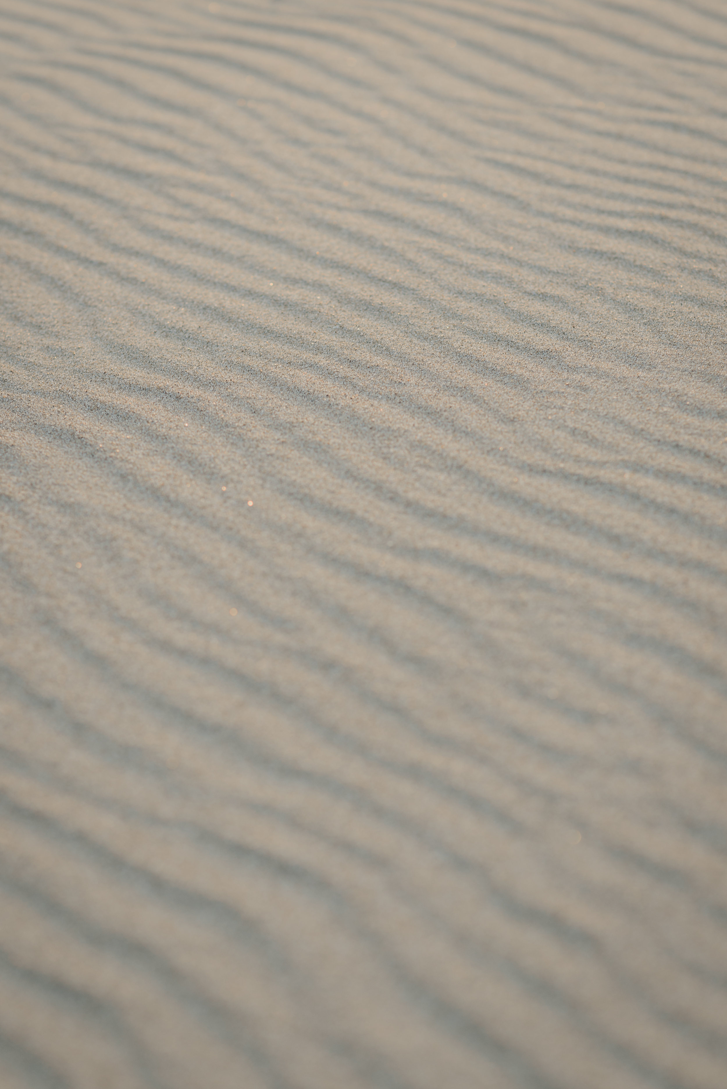 26-point-reyes-national-seashore-engagement-shoot-vivianchen-099.jpg