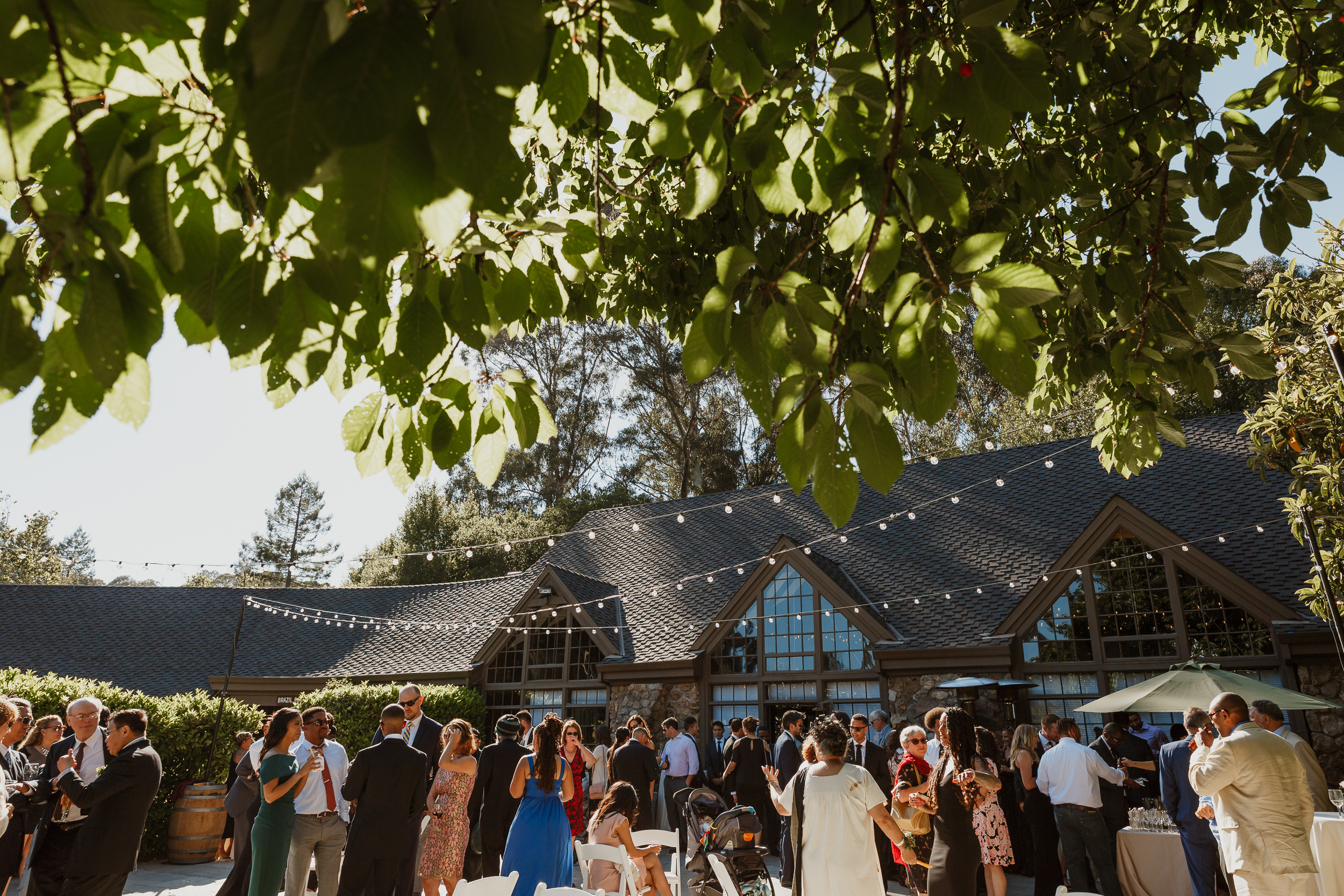 An Elegant Summertime Brazilian Room Wedding » Tilden Park, Berkeley —  Vivian Chen
