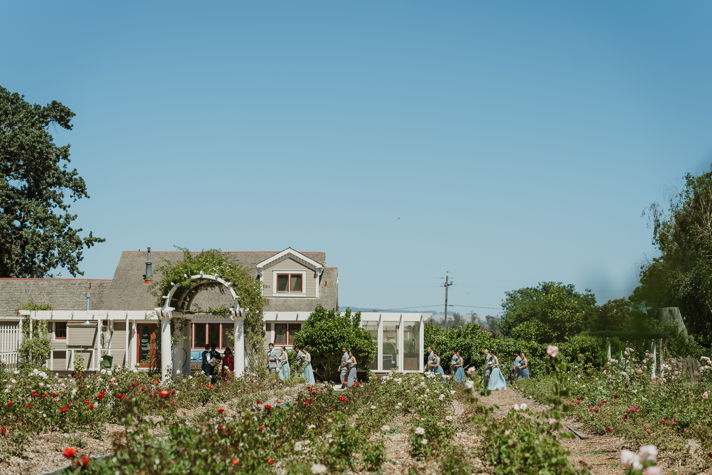 024-petaluma-garden-valley-ranch-wedding-vivianchen-141.jpg